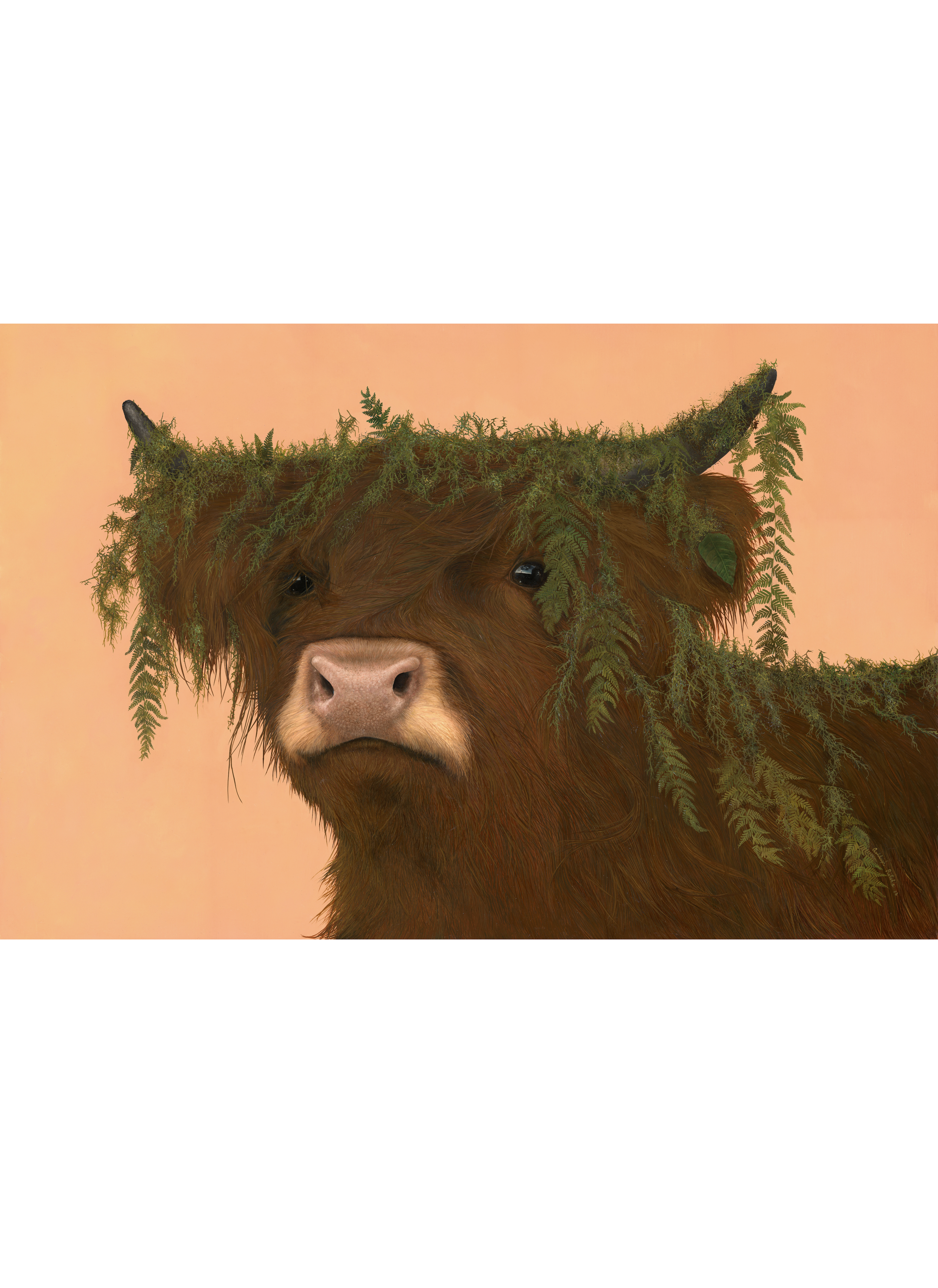 Mossy+Magnus+copy.png