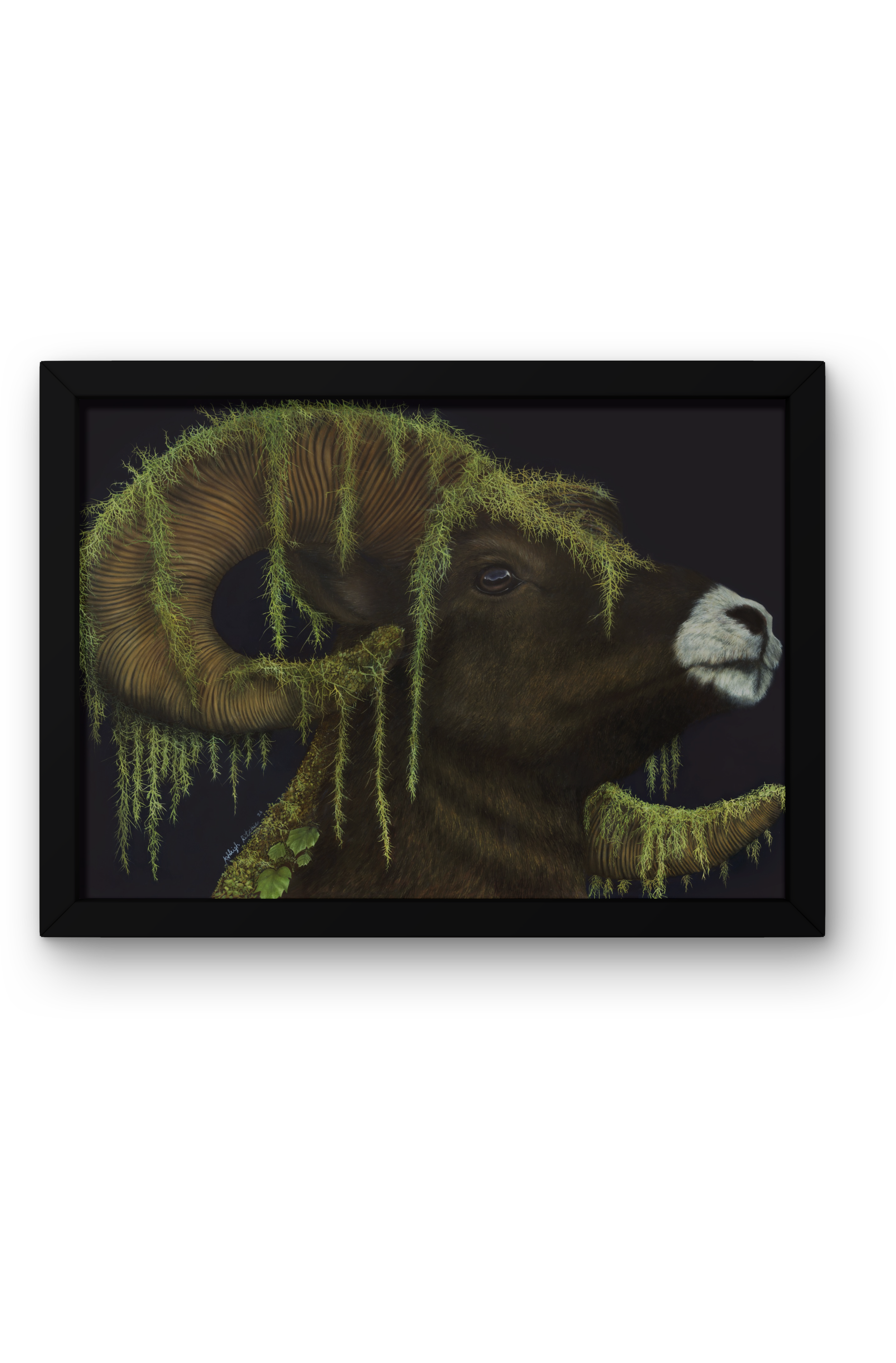 Moss+%26+Ram+Black+Frame.png