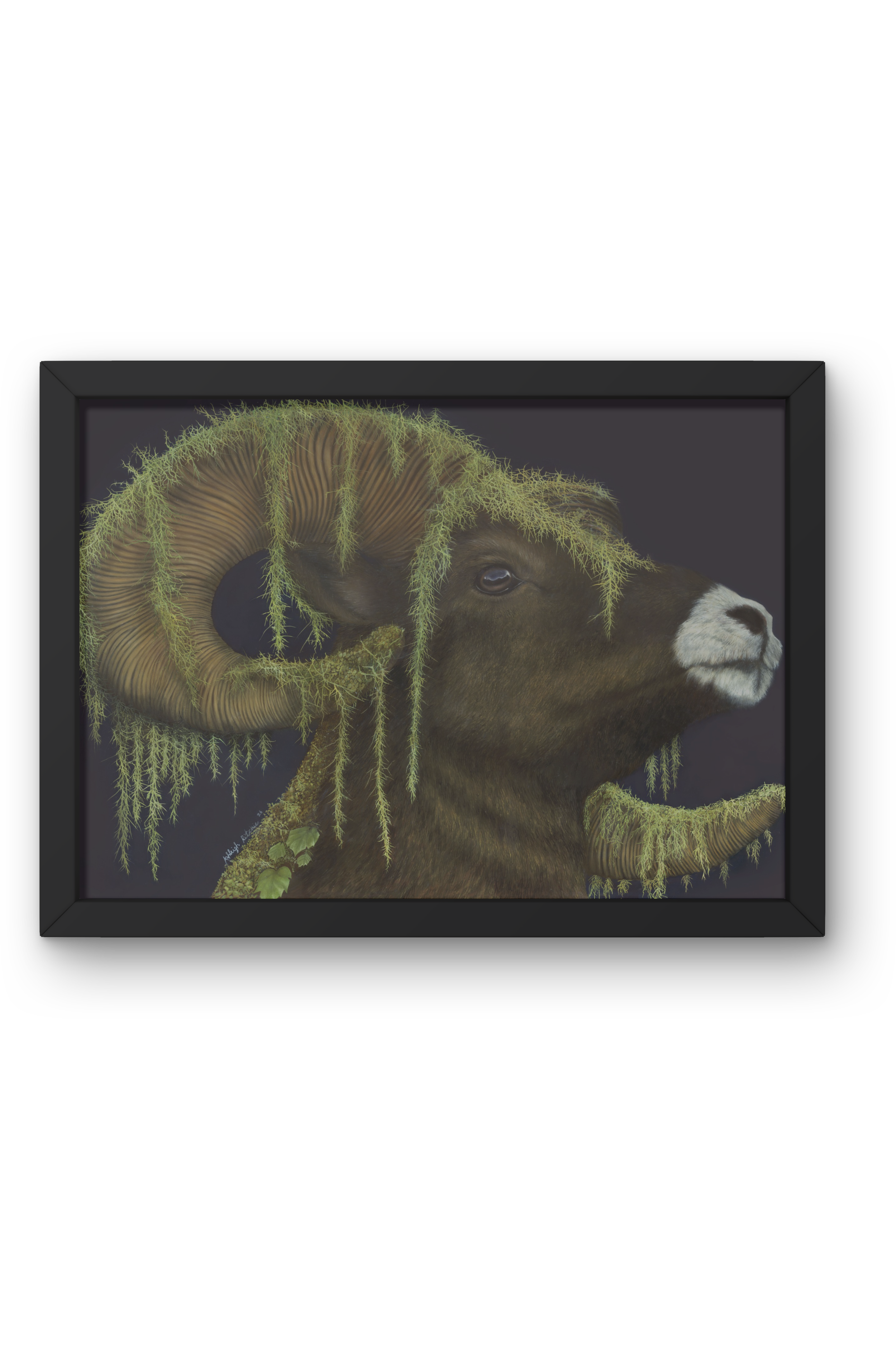 Moss & Ram Black Frame.png