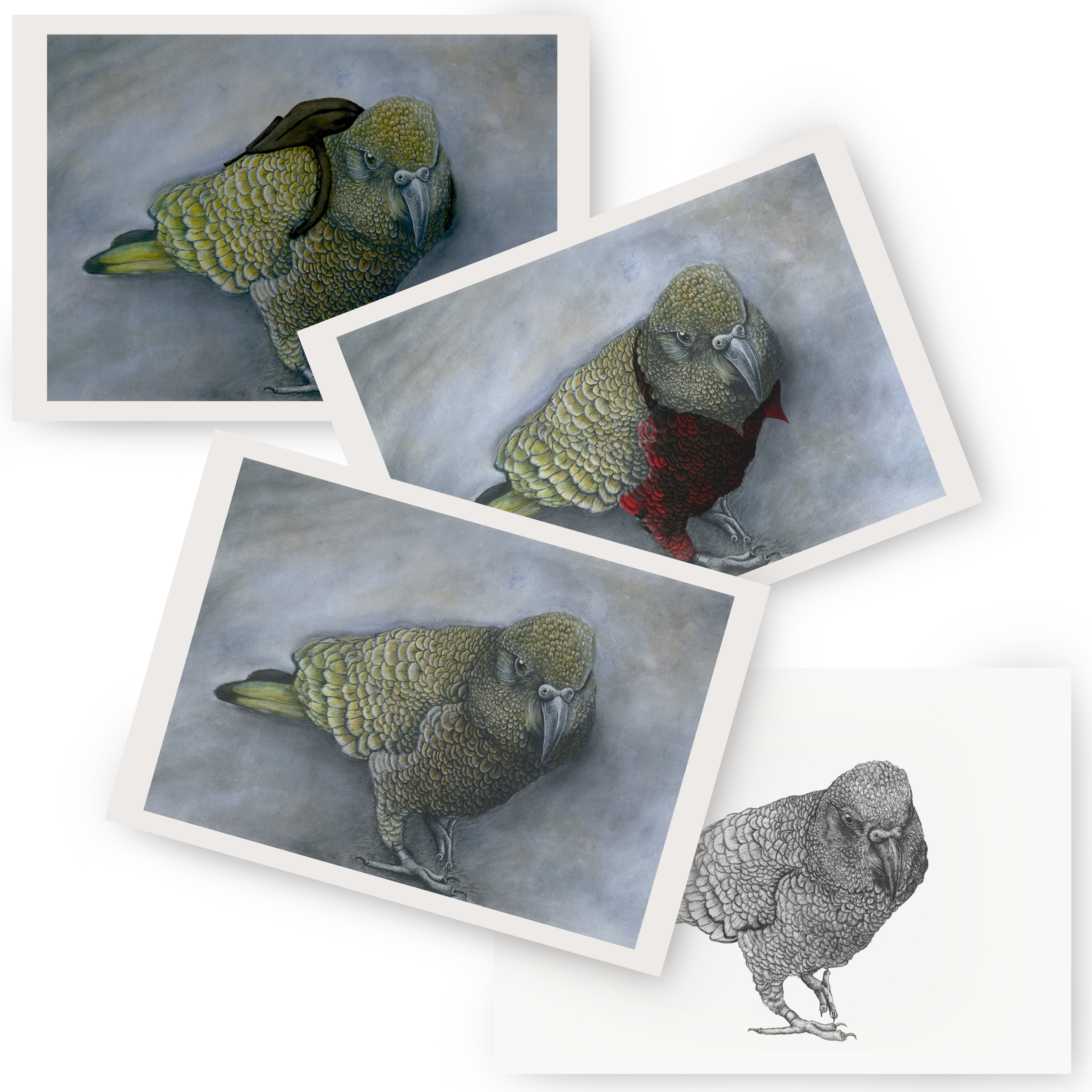 NZ Native Kea Mixed Media Collection | Fine Art Print