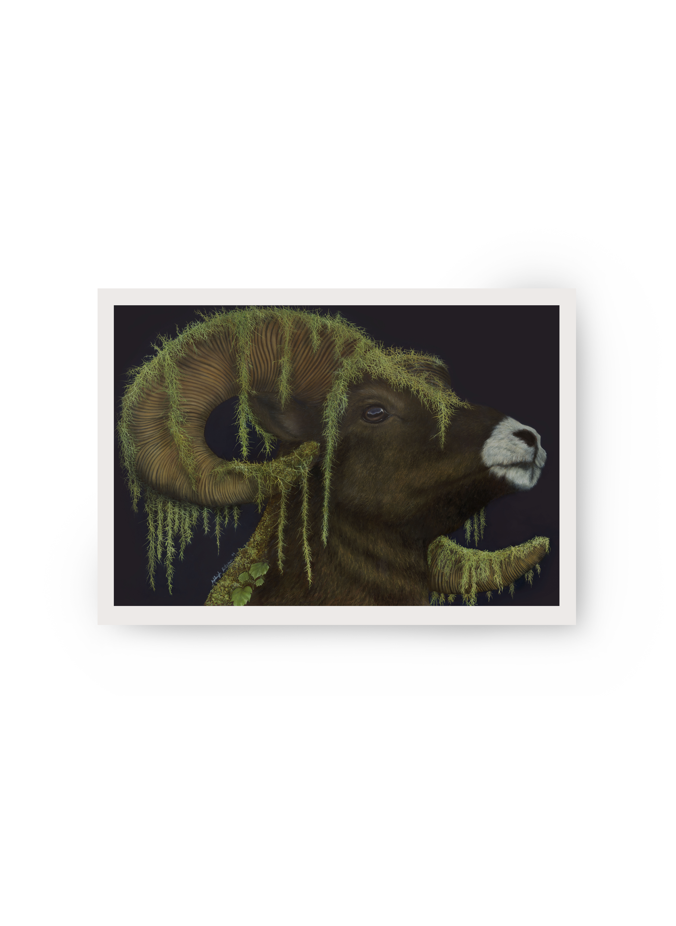 Moss & Ram | Flat Landscape .png