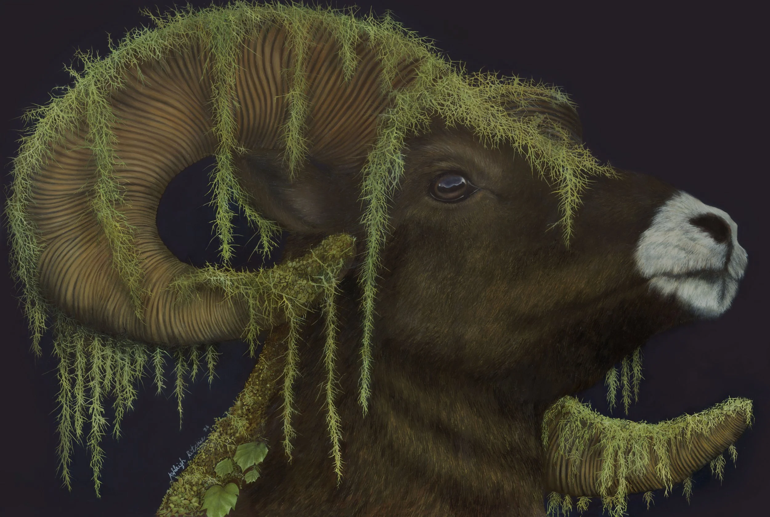 Moss & Ram.jpg