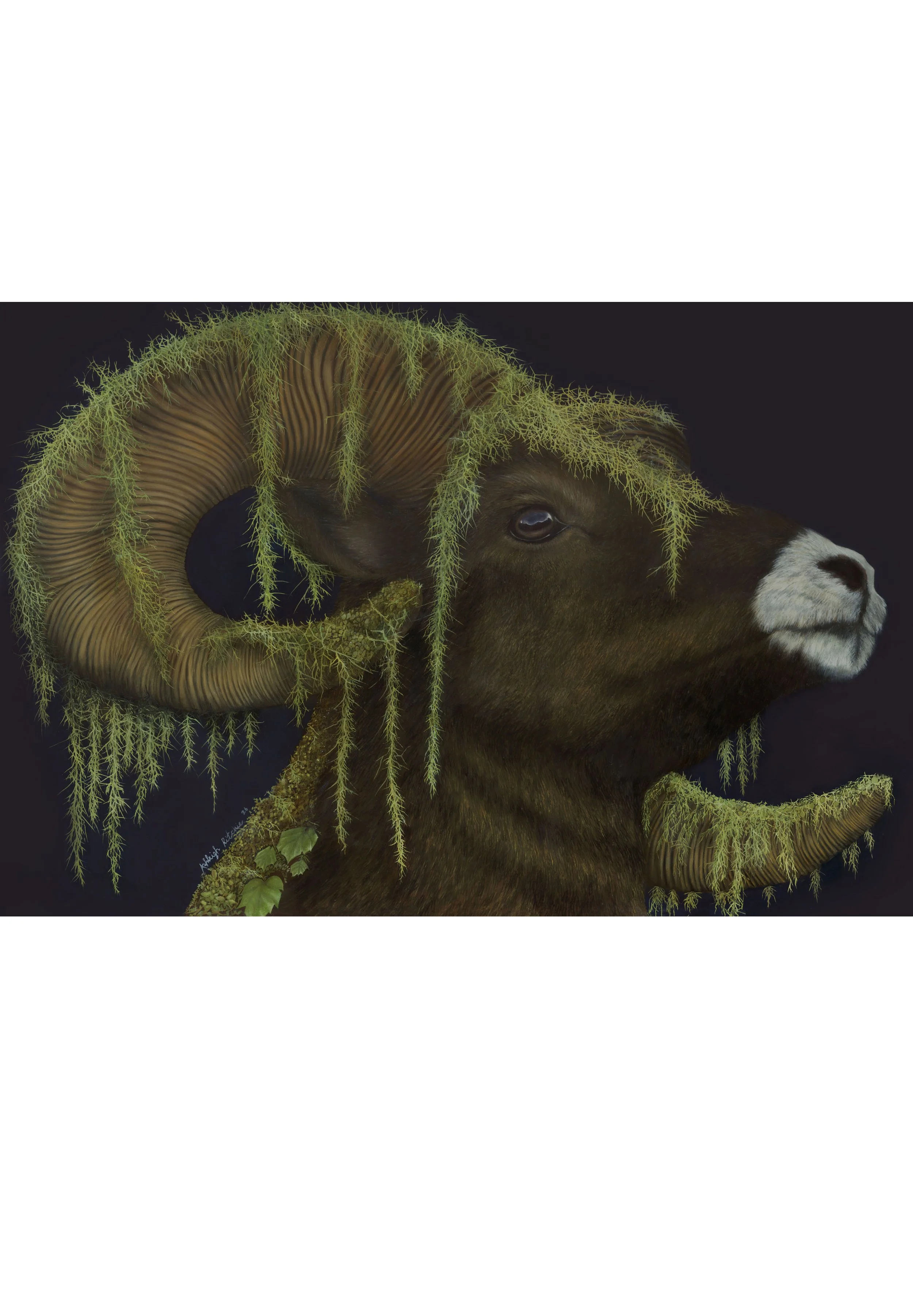 Moss & Ram copy.jpg