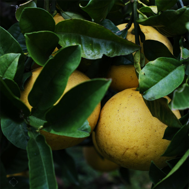 Screenshot 2026-01-07 194605.png