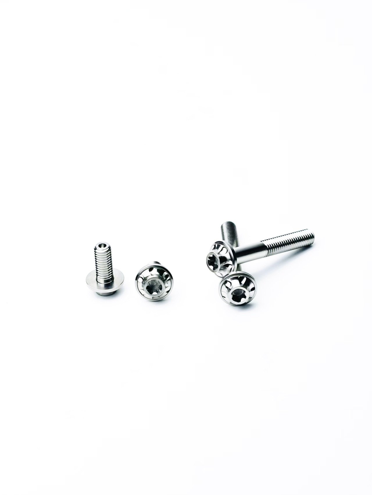 Ti-Master Titanium Caliper Screws