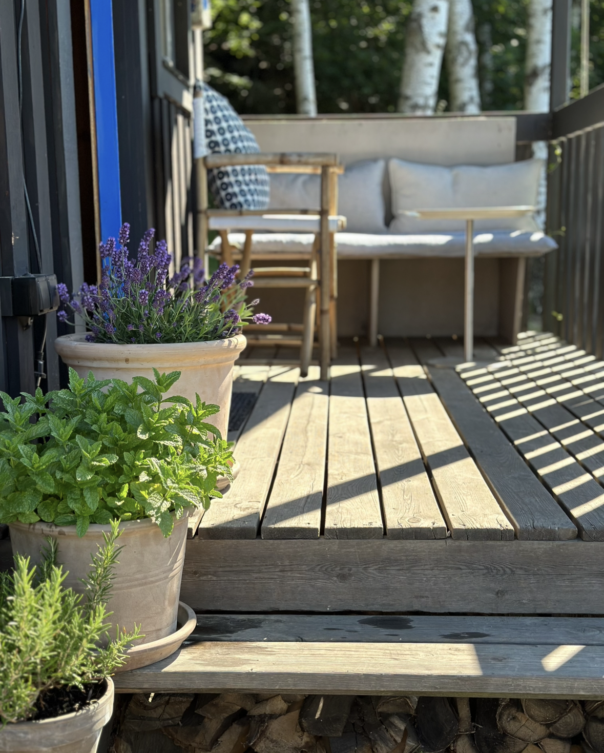 petit_patio_2.png
