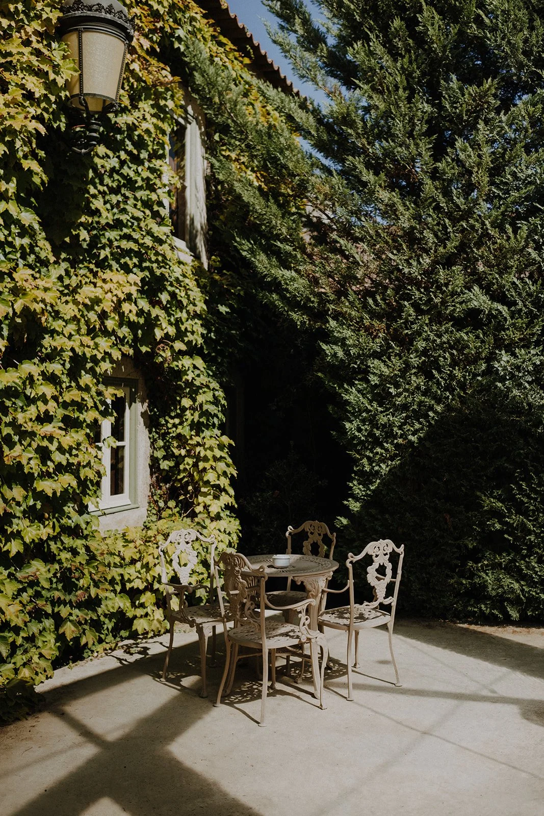 An outdoor patio area with a round metal table and four ornate metal chairs, surrounded by lush green ivy and tall trees, cast in sunlight.