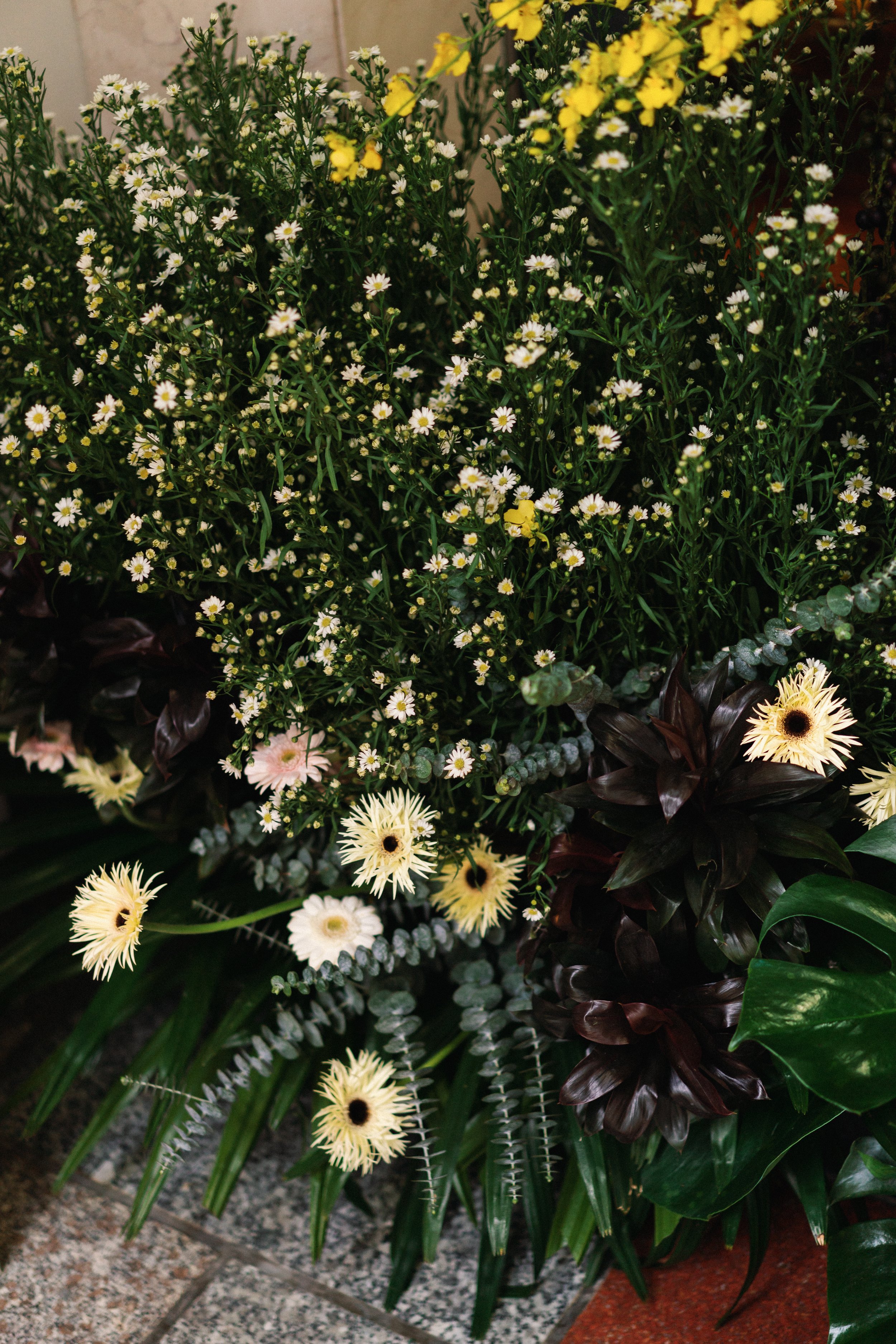 Image-9.jpg