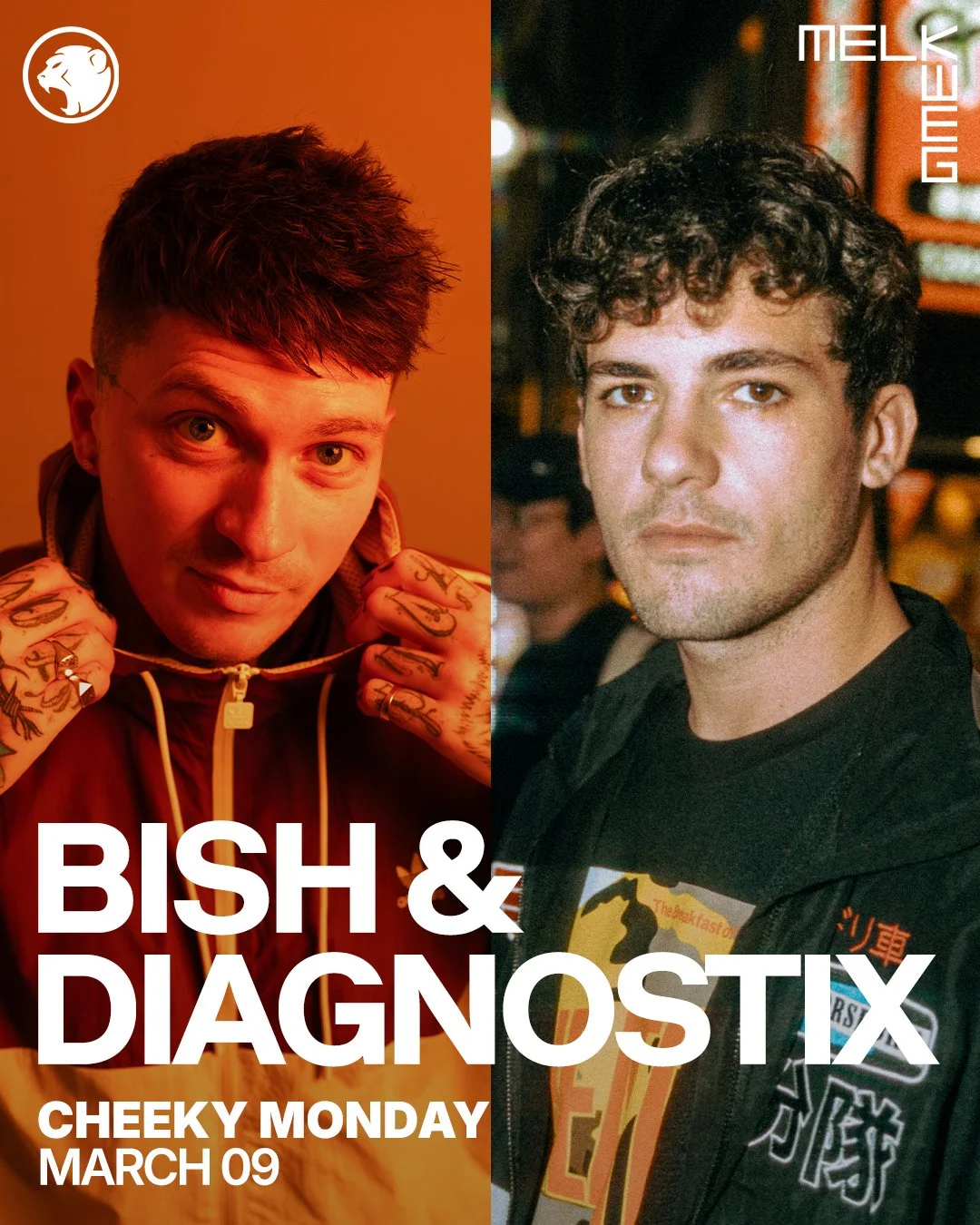 bish & diagnostix.jpg
