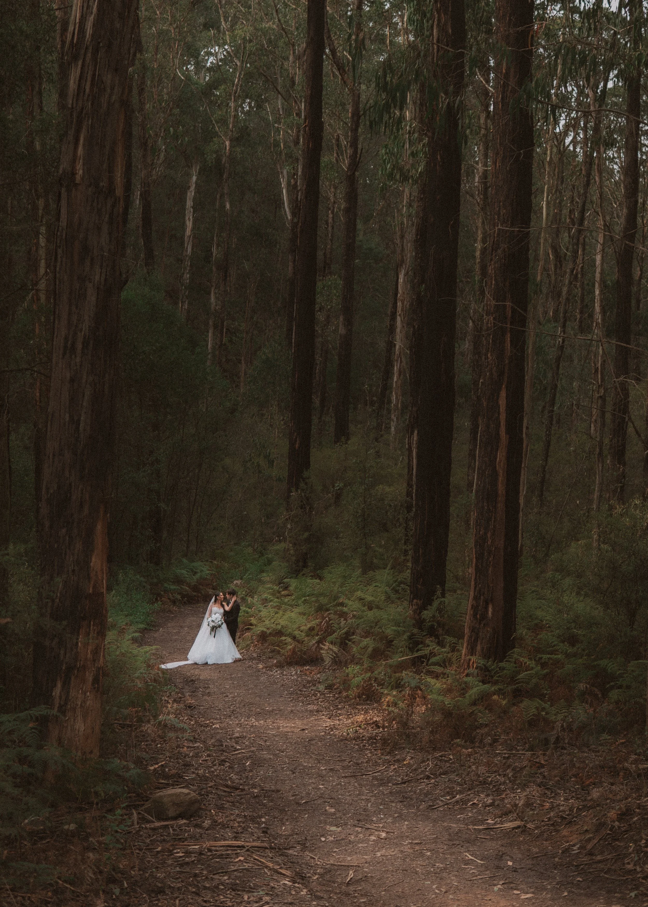 A bride in a white wedding gown and veil, and a groom in a dark suit, standing together on a forest trail surrounded by tall trees and green ferns. yarra valley and Melbourne wedding photographer