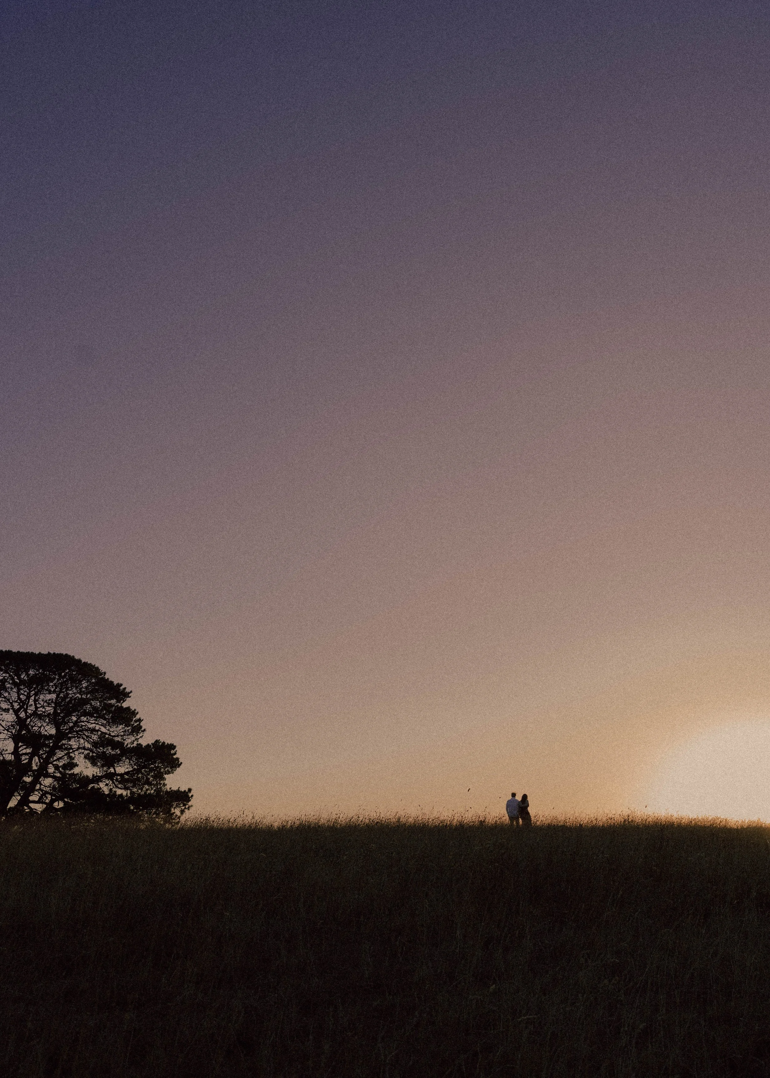 Two people standing together in a field at sunset, with a large tree on the left and a colorful sunset sky overhead.