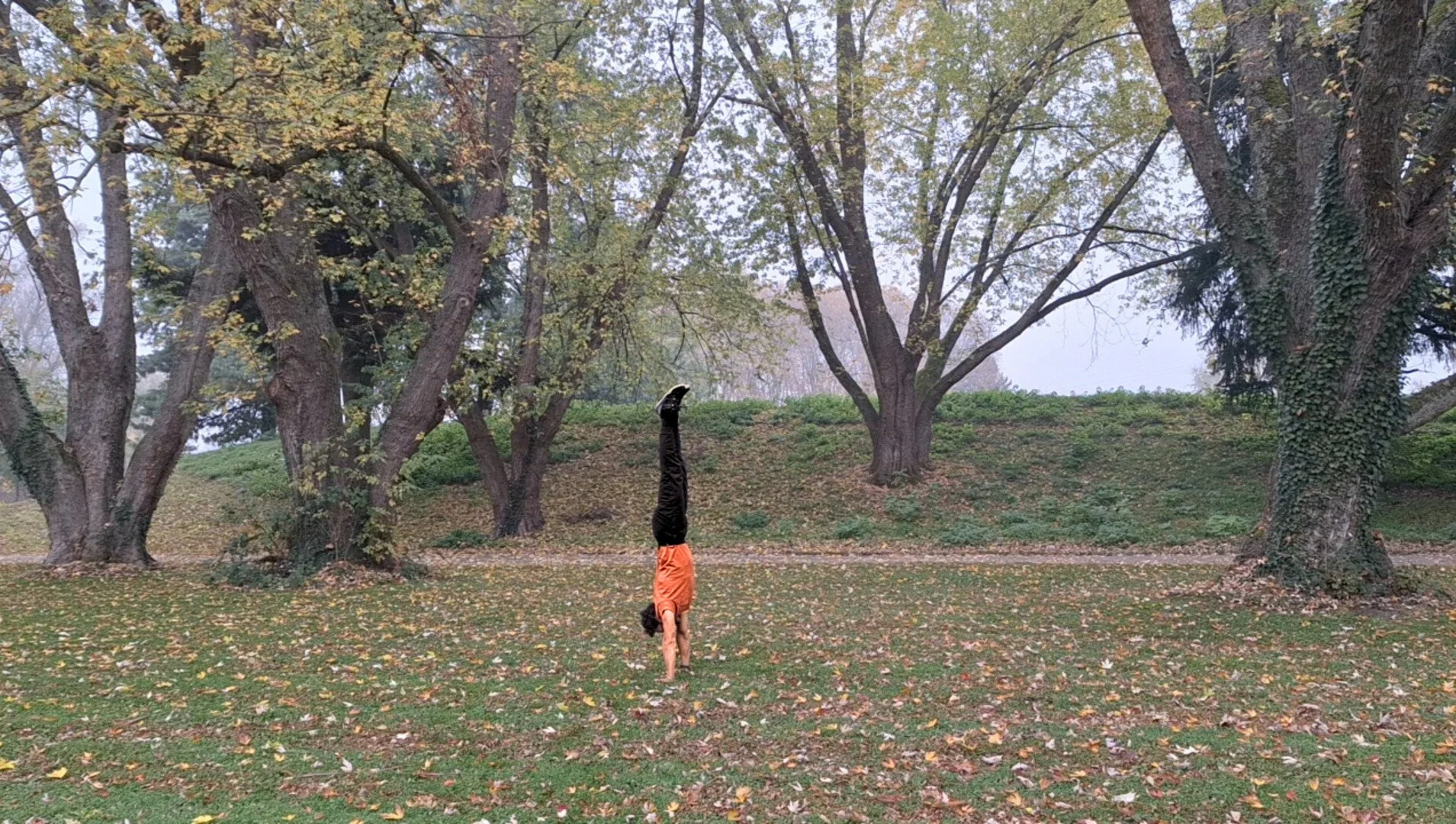 Movement Group: Handstand Explorations