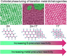 Engineering polymorphs in colloidal metal dichalcogenides: precursor-mediated phase control, molecular insights into crystallisation kinetics and promising electrochemical activity 	J. Mater. Chem. A, 2023,11, 11341-11353