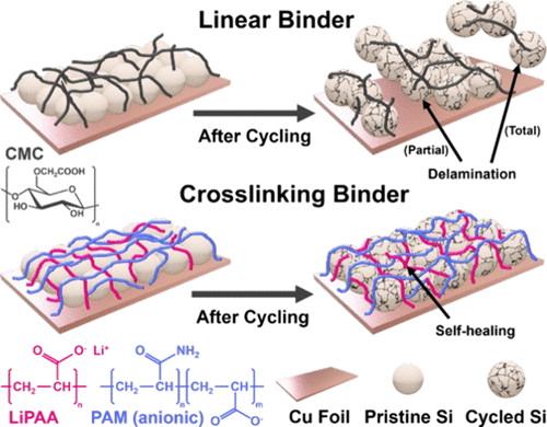 Unlocking Stable Cycling in Silicon Kerf Waste Anodes with Recycled Polyacrylamide-Based Binders for Lithium-Ion Battery Applications. ACS Appl. Mater. Interfaces 2025, 17, 51, 69541–69550