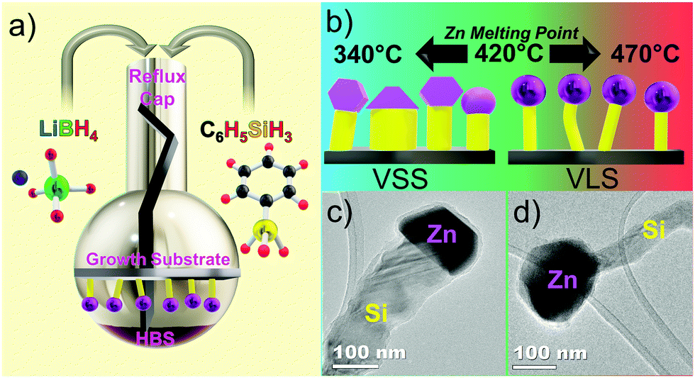Temperature induced diameter variation of silicon nanowires via a liquid–solid phase transition in the Zn seed Chem. Commun., 2021, 57, 12504-12507