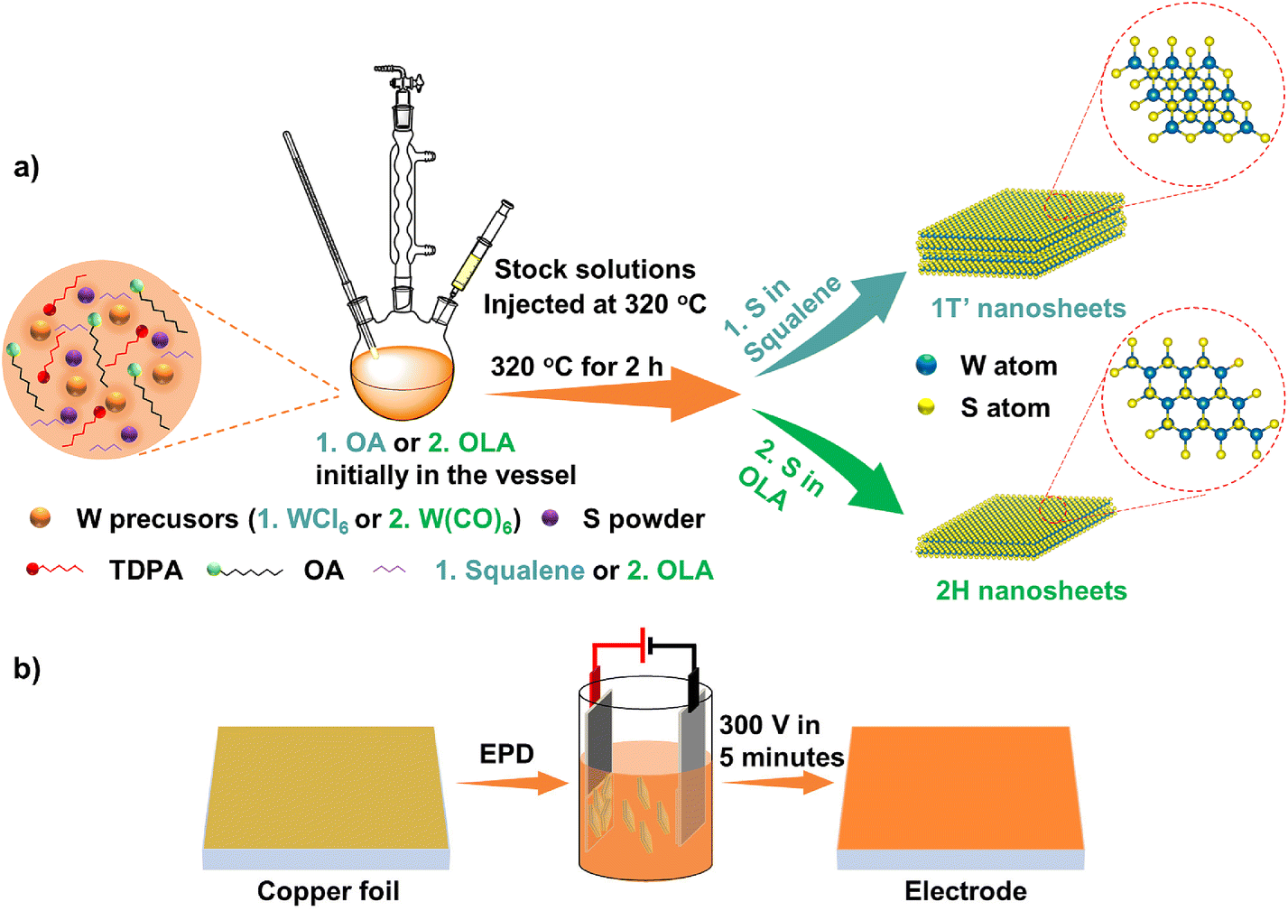 Electrophoretic assisted fabrication of additive-free WS2 nanosheet anodes for high energy density lithium-ion batteries Nanoscale, 2024, 16, 20496-20504