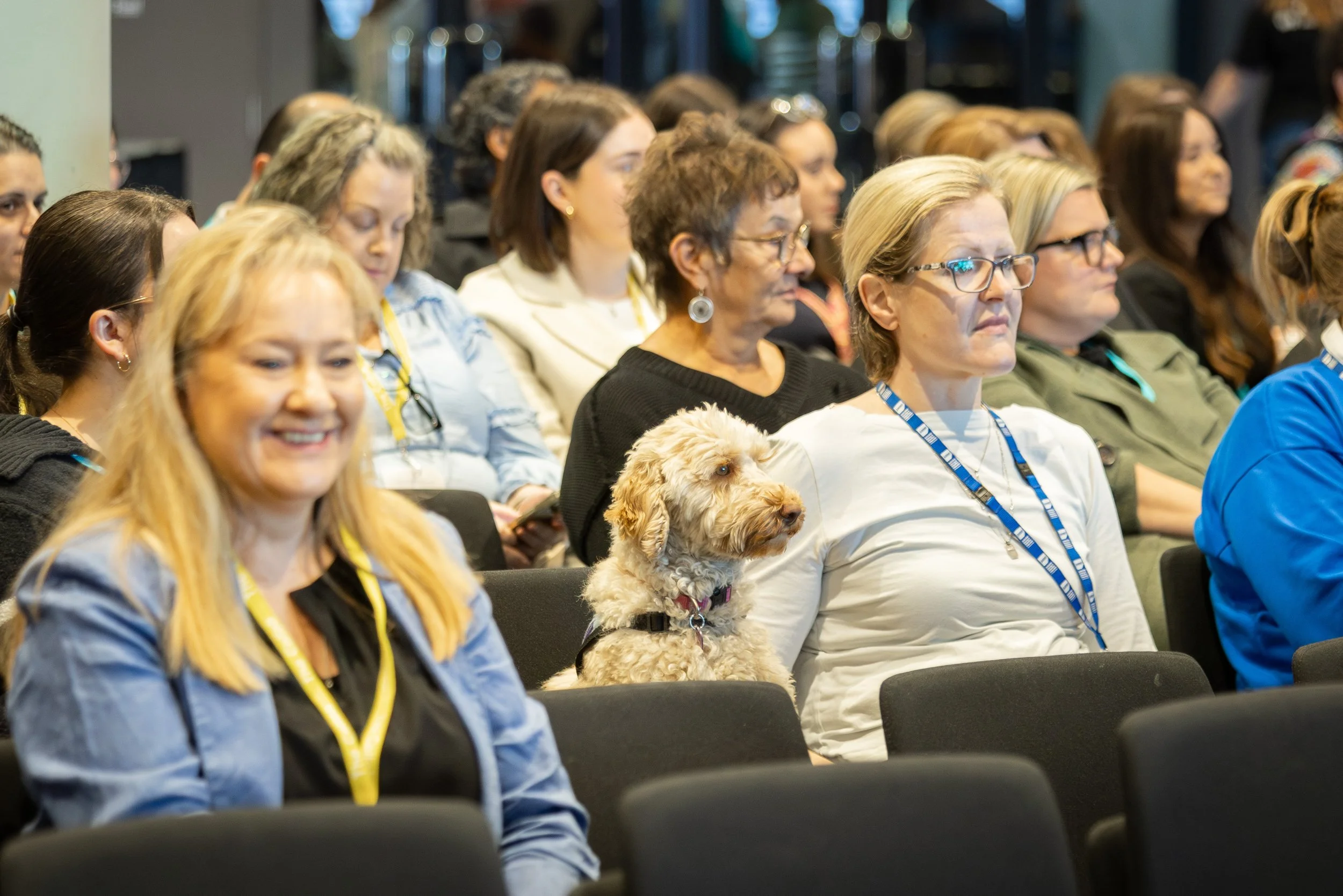 A close up of audience members with a dog at a business event