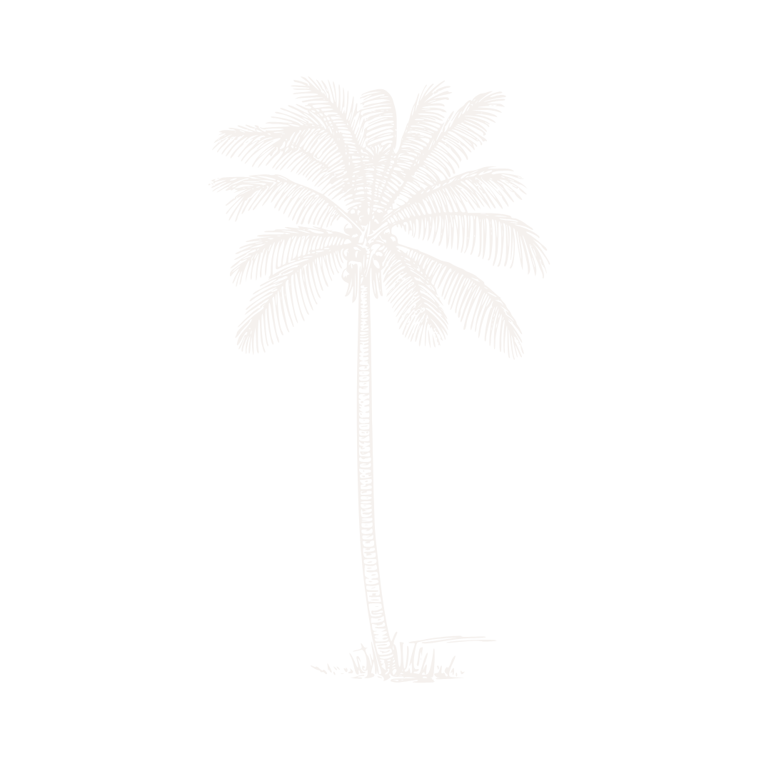 White silhouette of a tall palm tree with long fronds on black background.