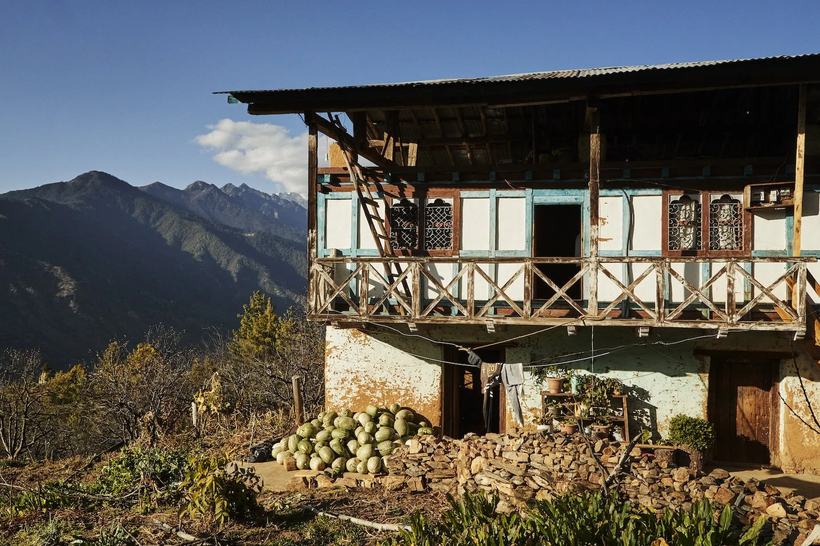 Paro Lower Walu Farmhouse.jpg