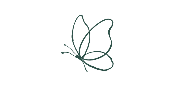 Line drawing of a butterfly with open wings.