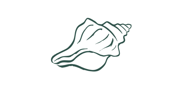 Line drawing of a seashell with a spiral shape.