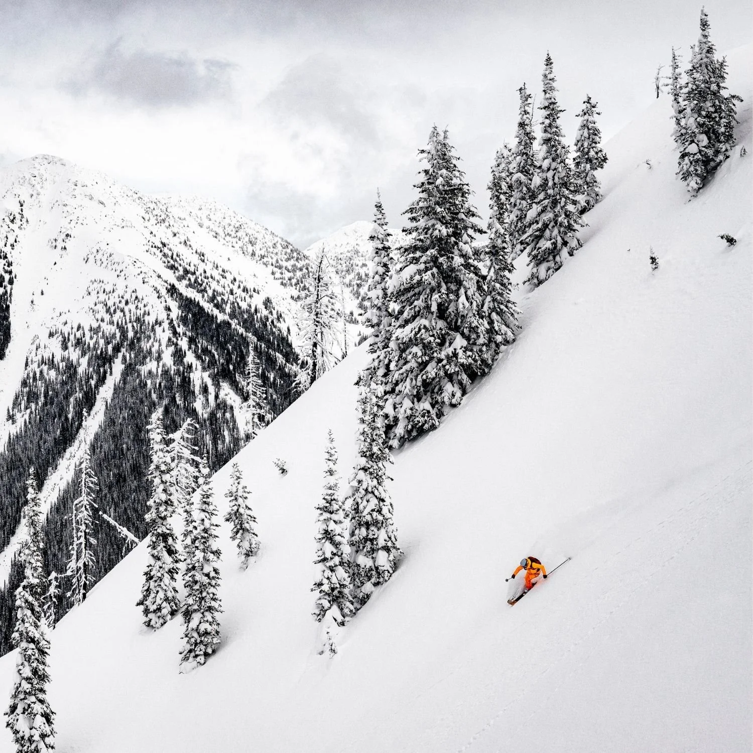 A skier in orange gear skiing down a snowy mountain slope surrounded by snow-covered trees, with a mountainous landscape in the background under gray sky.