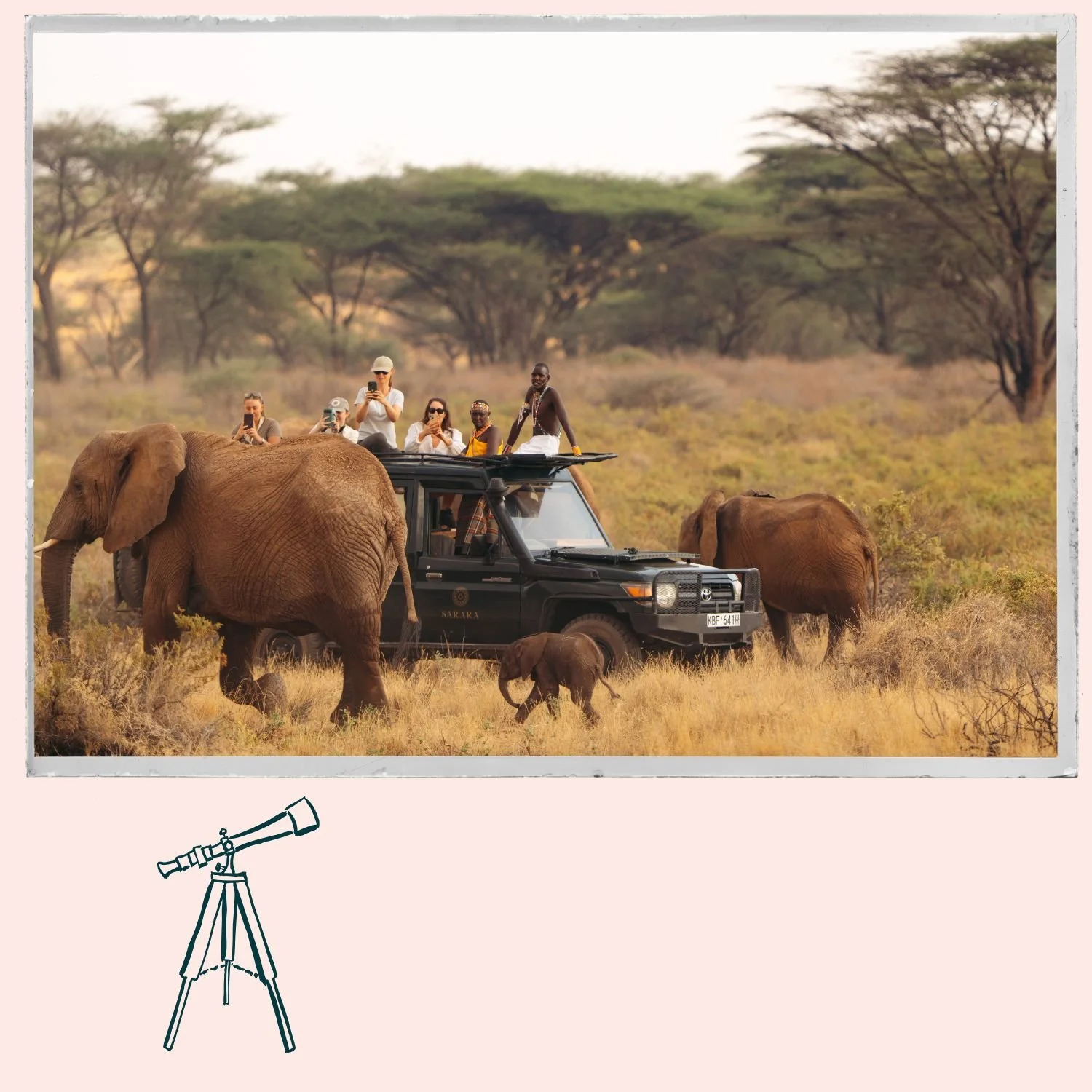 Tourists watching elephants from a safari vehicle in the savannah.