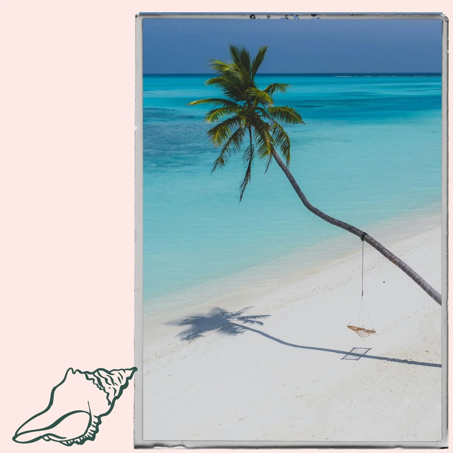 Tropical beach scene with a leaning palm tree casting a shadow on white sand, turquoise water, and a swing hanging from the palm tree.