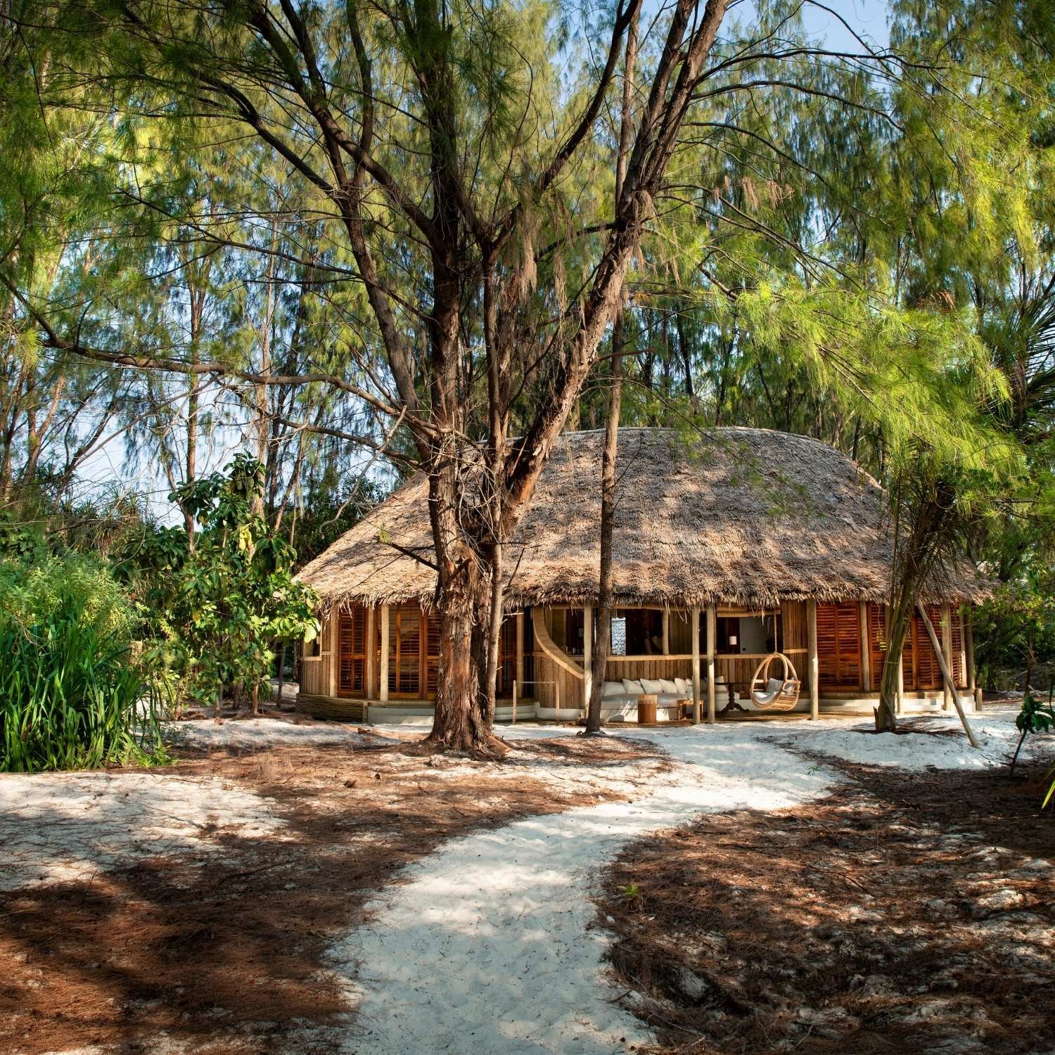 A tropical hut with a thatched roof surrounded by trees and greenery, with a sandy path leading up to it.