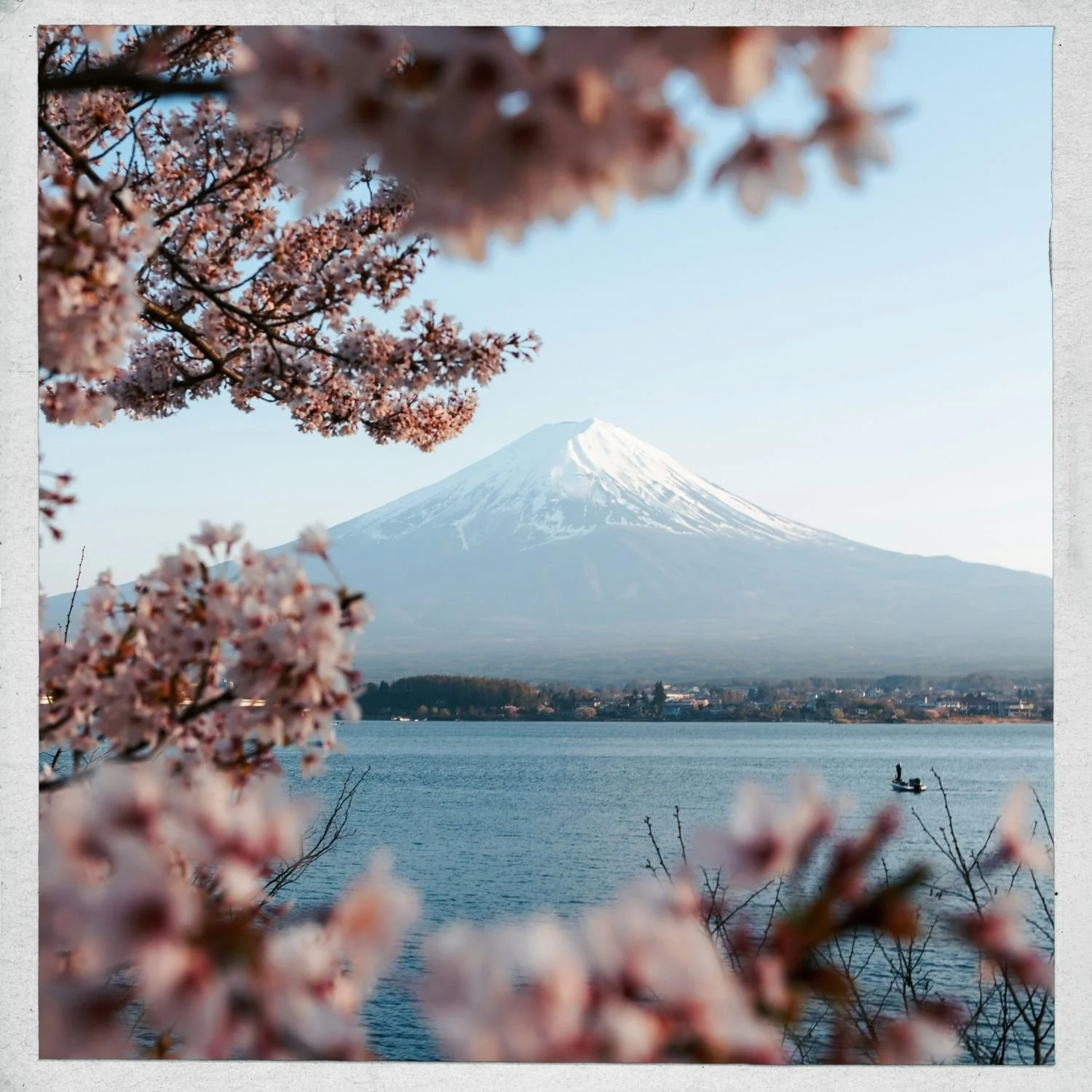 Cherry blossoms in the foreground with Mount Fuji in the background, snow-capped, near a lake with a small boat and houses along the shore.
