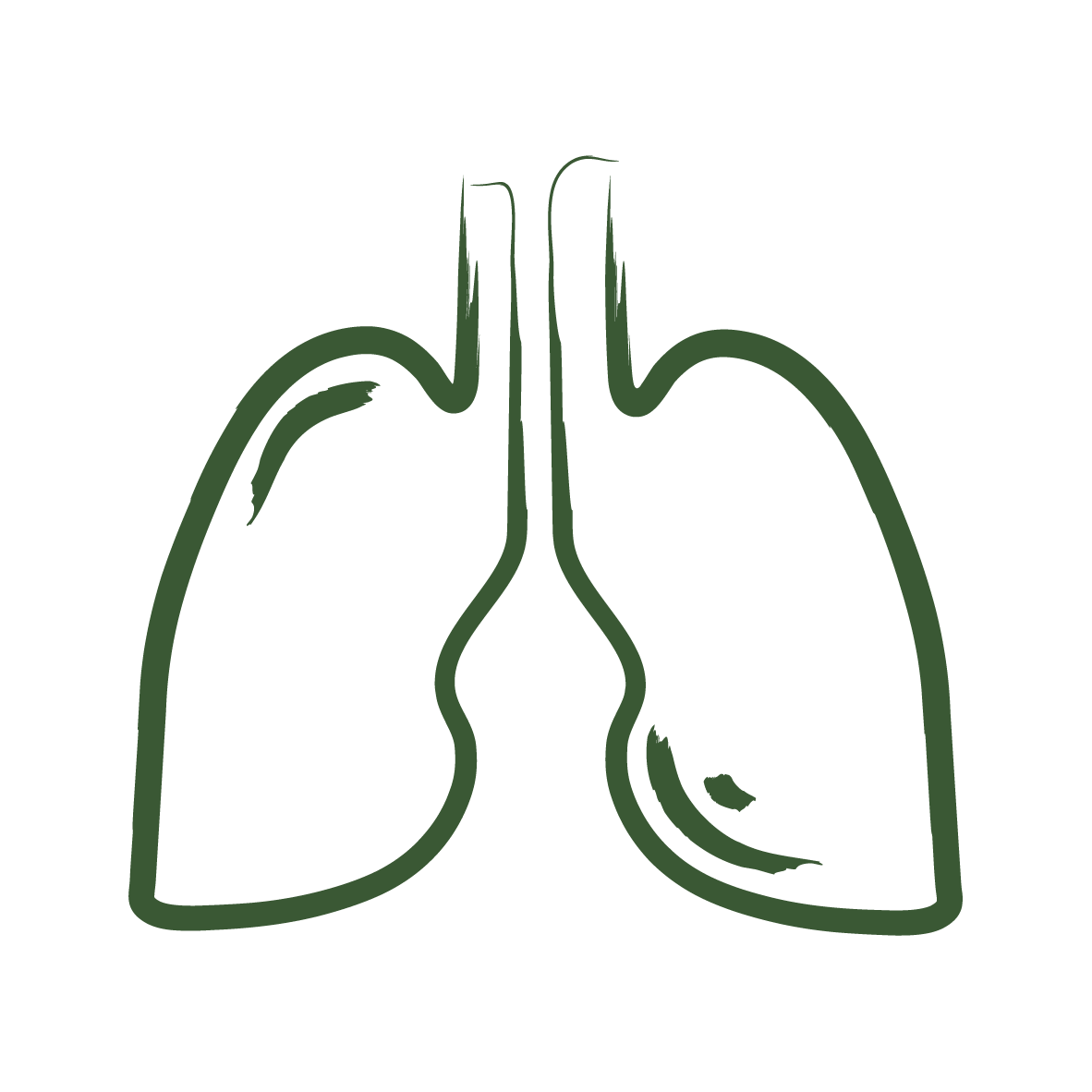 Naturellement Vital-RVB-08.png