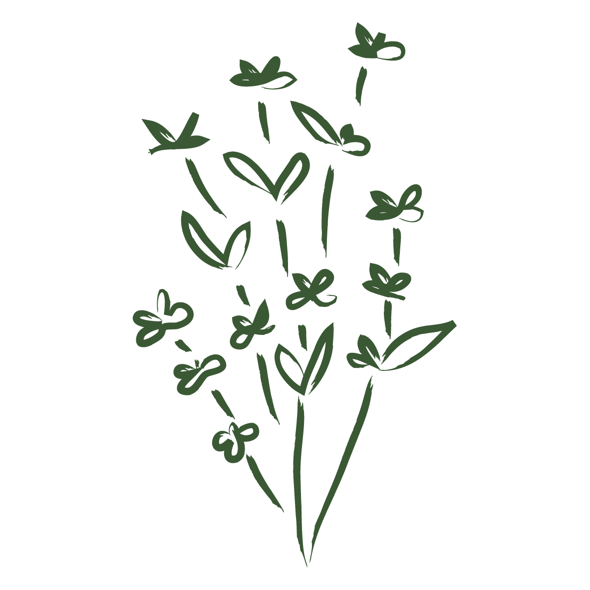 Naturellement Vital-RVB-06.png