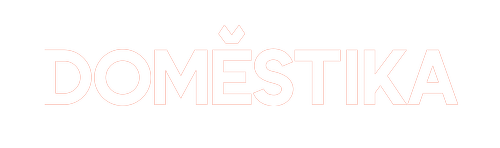 Domestika logo