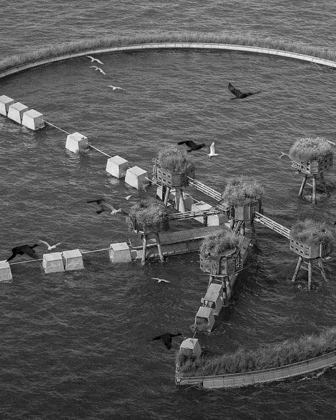   THIRD PRIZE  
 Muansell’s Ark  Vignesh Prabhakaran - Akshaya Priya V S 
 India