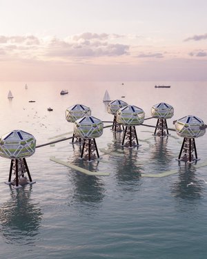 Estuarium by Levin Suresh