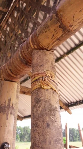 11 Majuli School.jpg