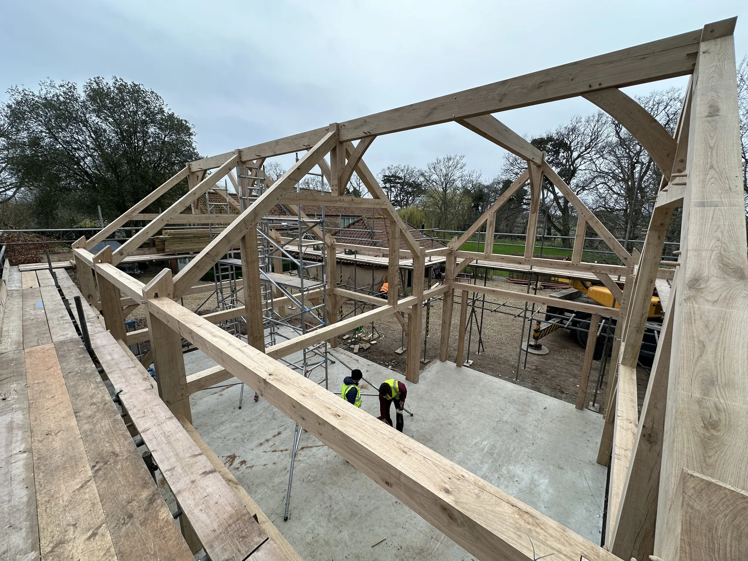 Oak work in progress