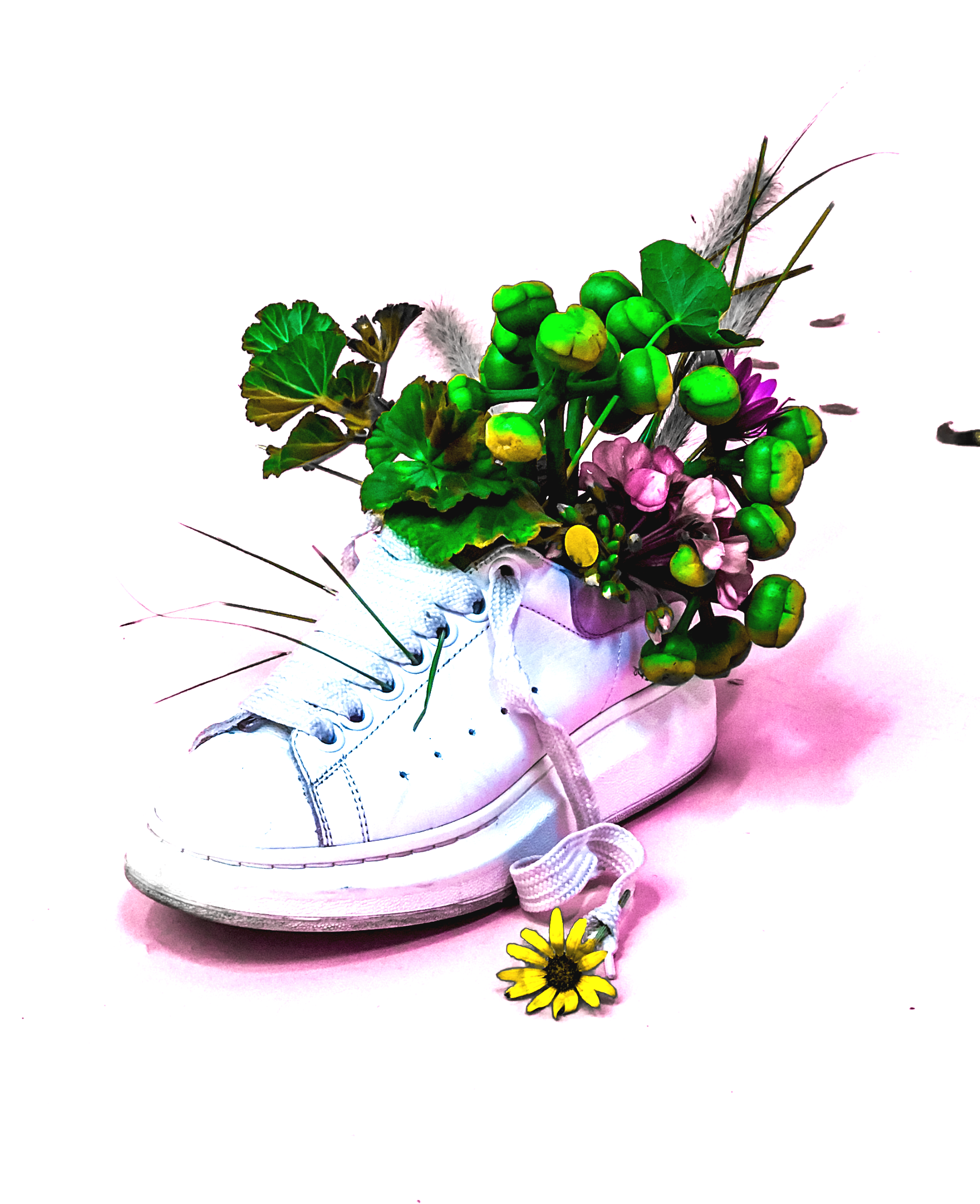 A white sneaker with flowers and greenery inside, with a small yellow flower placed near the toe.TRIPLE AXEL MEDIA LITERACY flowers, green leaves, and ferns in shoes with the text 'The Language of Flowers' above.