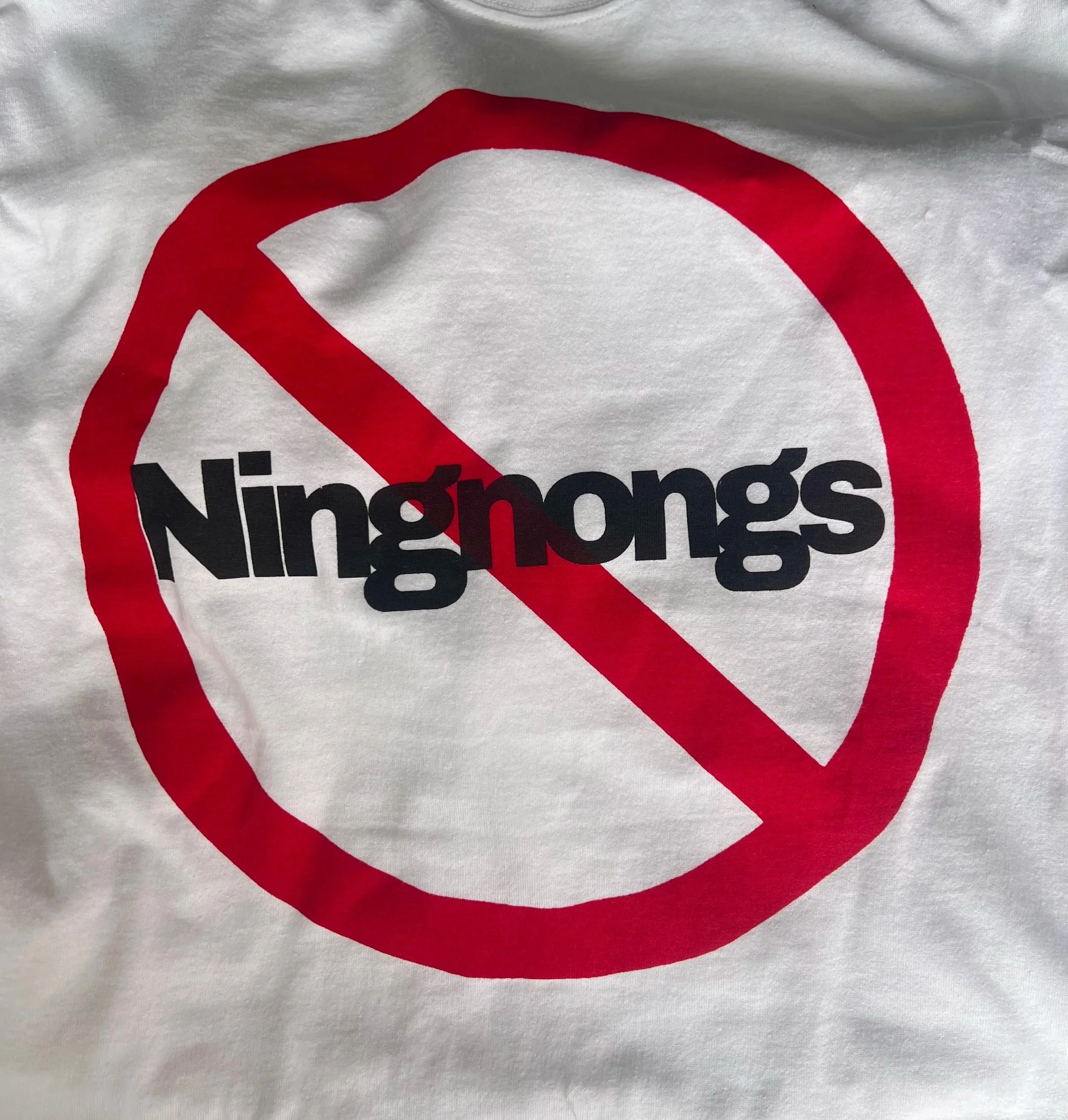 NO NINGNONGS TEE SHIRT.png