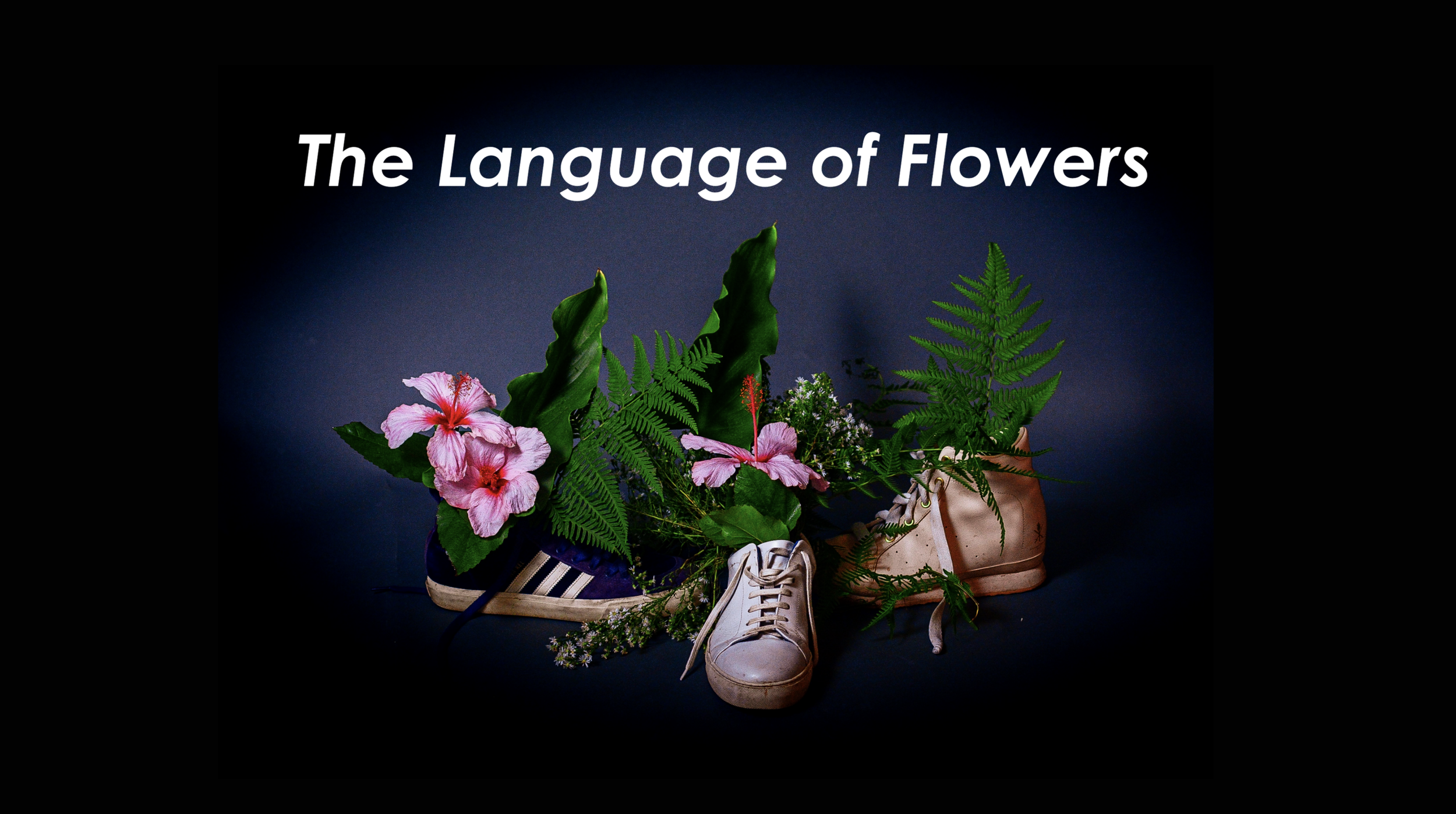 TRIPLE AXEL MEDIA LITERACY flowers, green leaves, and ferns in shoes with the text 'The Language of Flowers' above.