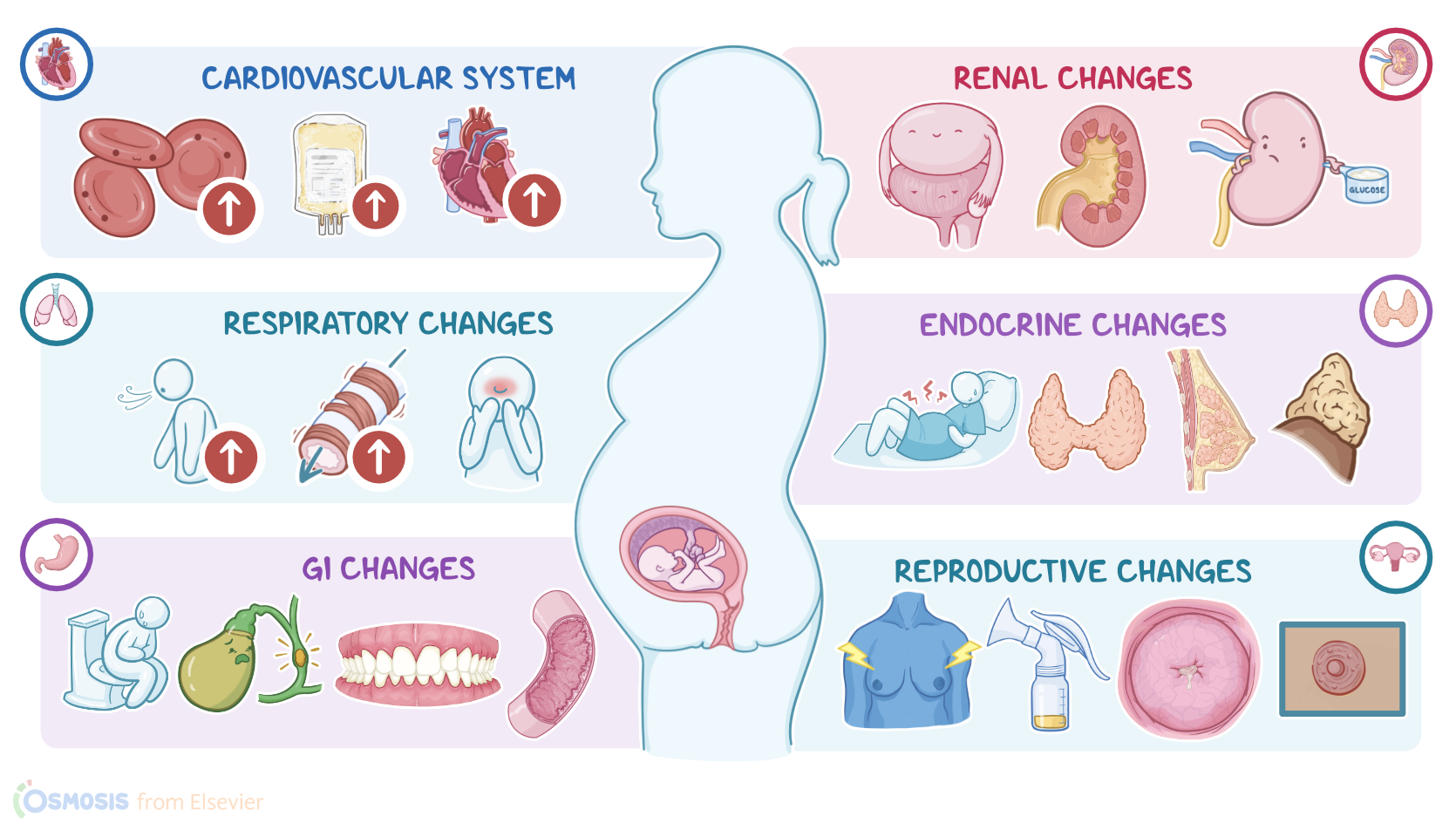 Modern building with wood siding and a large glass window, set against mountainous landscape with dry grass and small plants in the foreground.