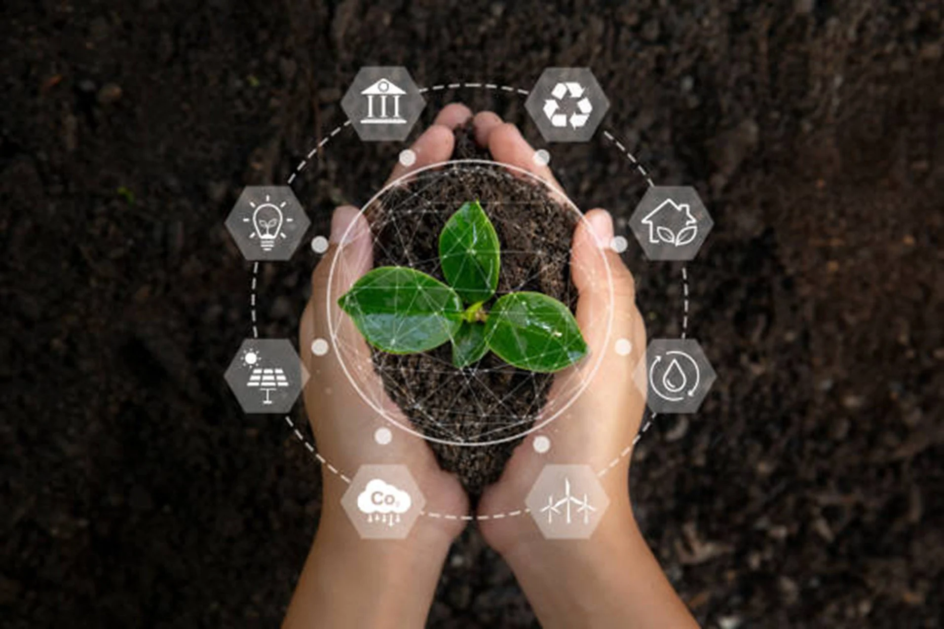 FUTURE FARMING: L’innovazione Sostenibile che Connette Scienza Avanzata e Natura