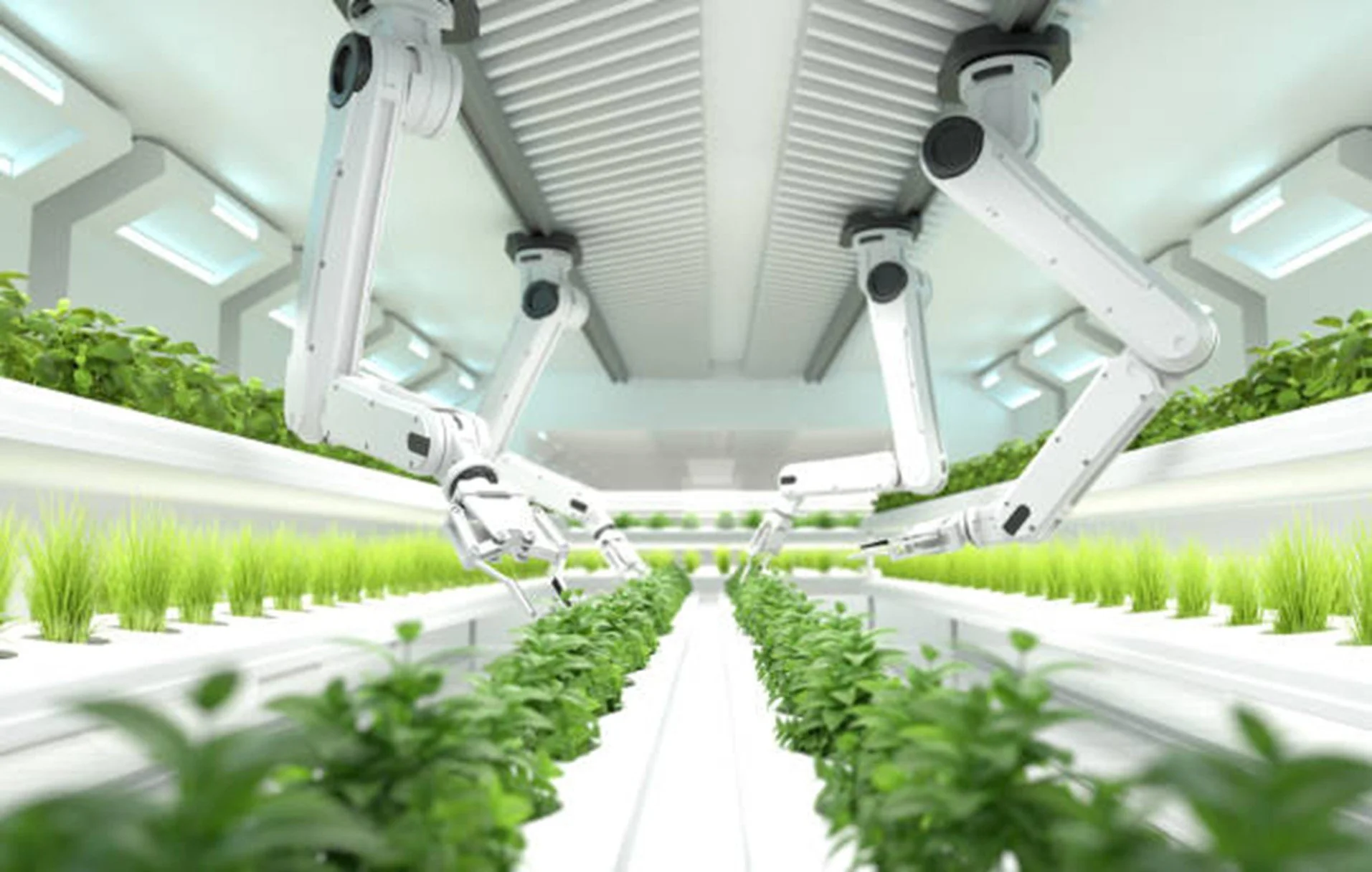 Future Food: ridefinire l'alimentazione per una popolazione in crescita