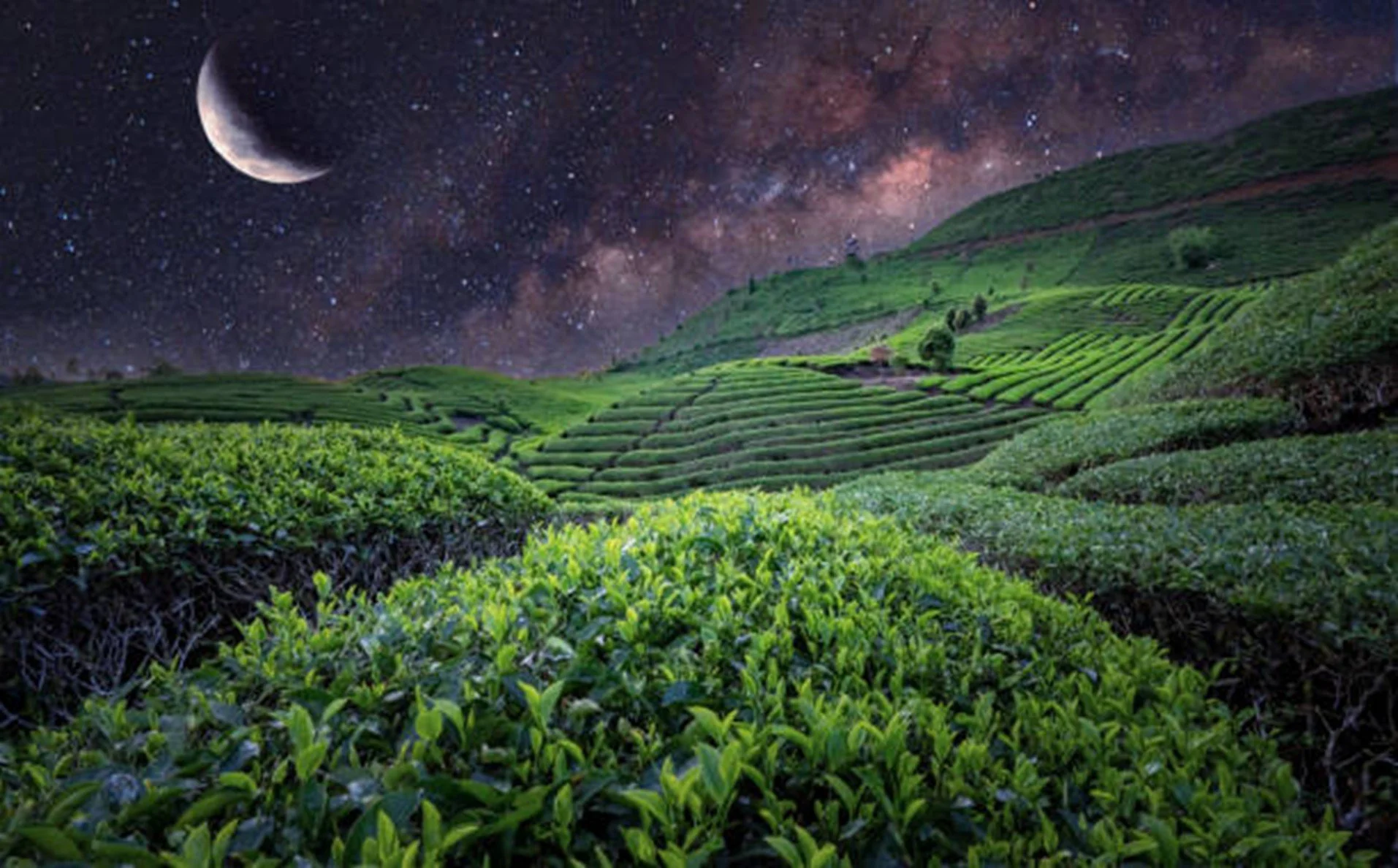 Space Farming: dalla frontiera spaziale all'innovazione terrestre