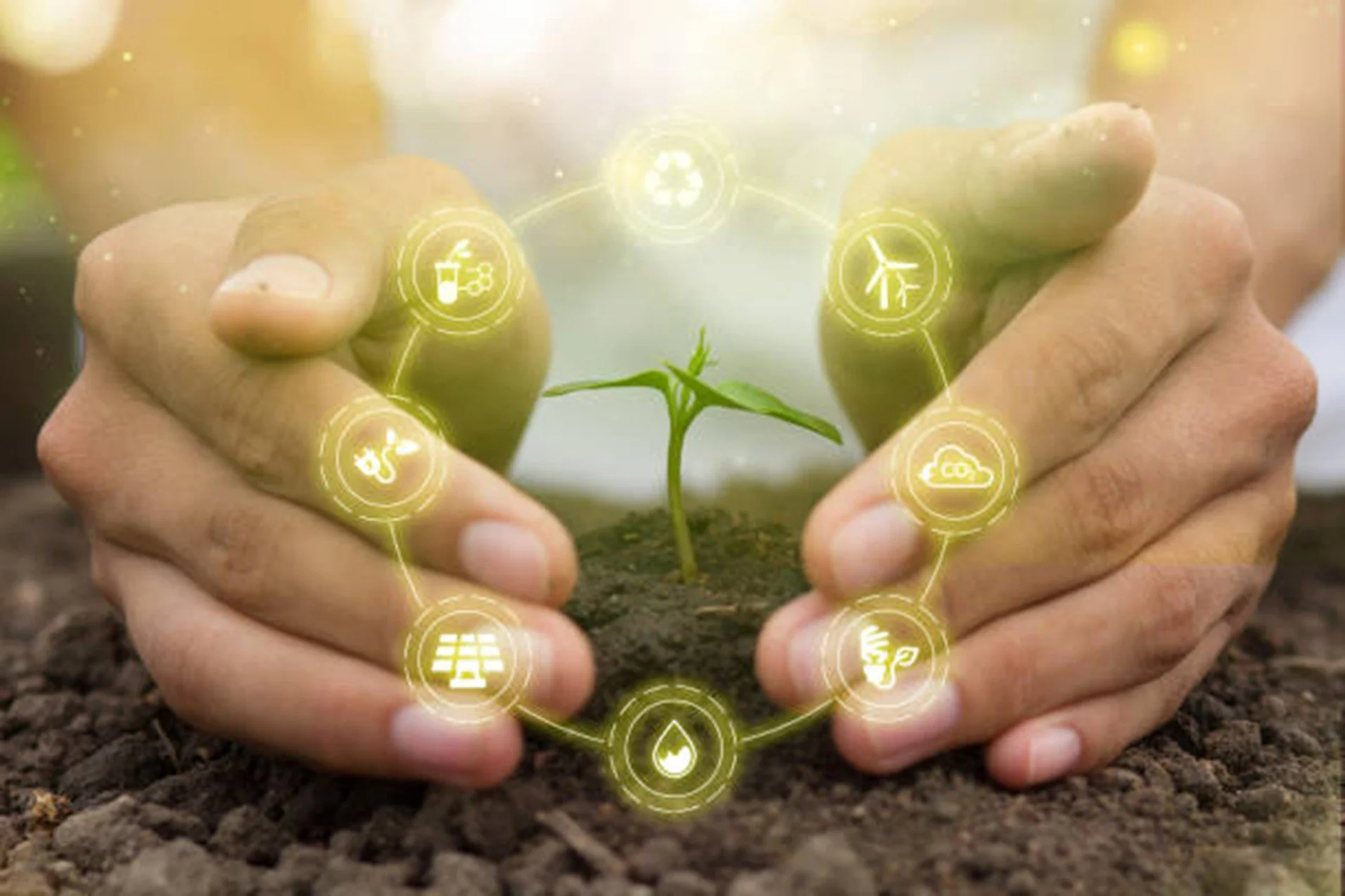 Sensible Farms: scienza computazionale applicata all'agricoltura