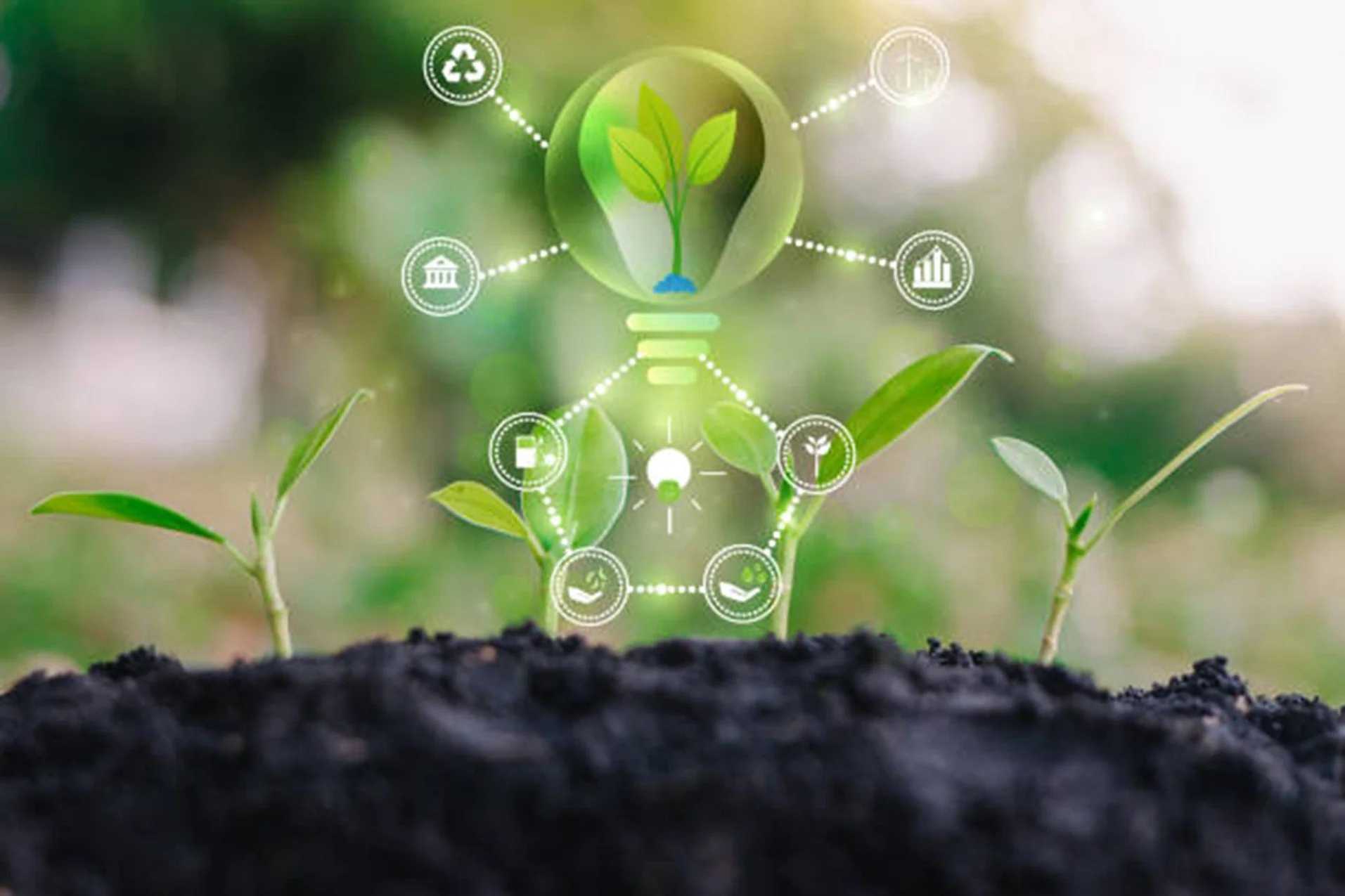 Il Nature Co-Design: un nuovo paradigma per l’industria del futuro