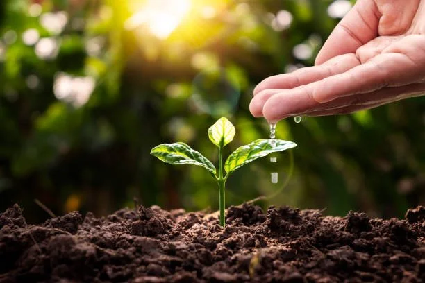 BeadRoots: tecnologia innovativa per l’efficienza idrica e la sostenibilità agricola