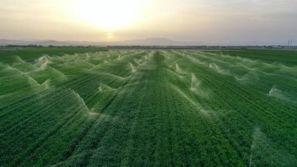 OASI: irrigazione di precisione per un’agricoltura efficiente