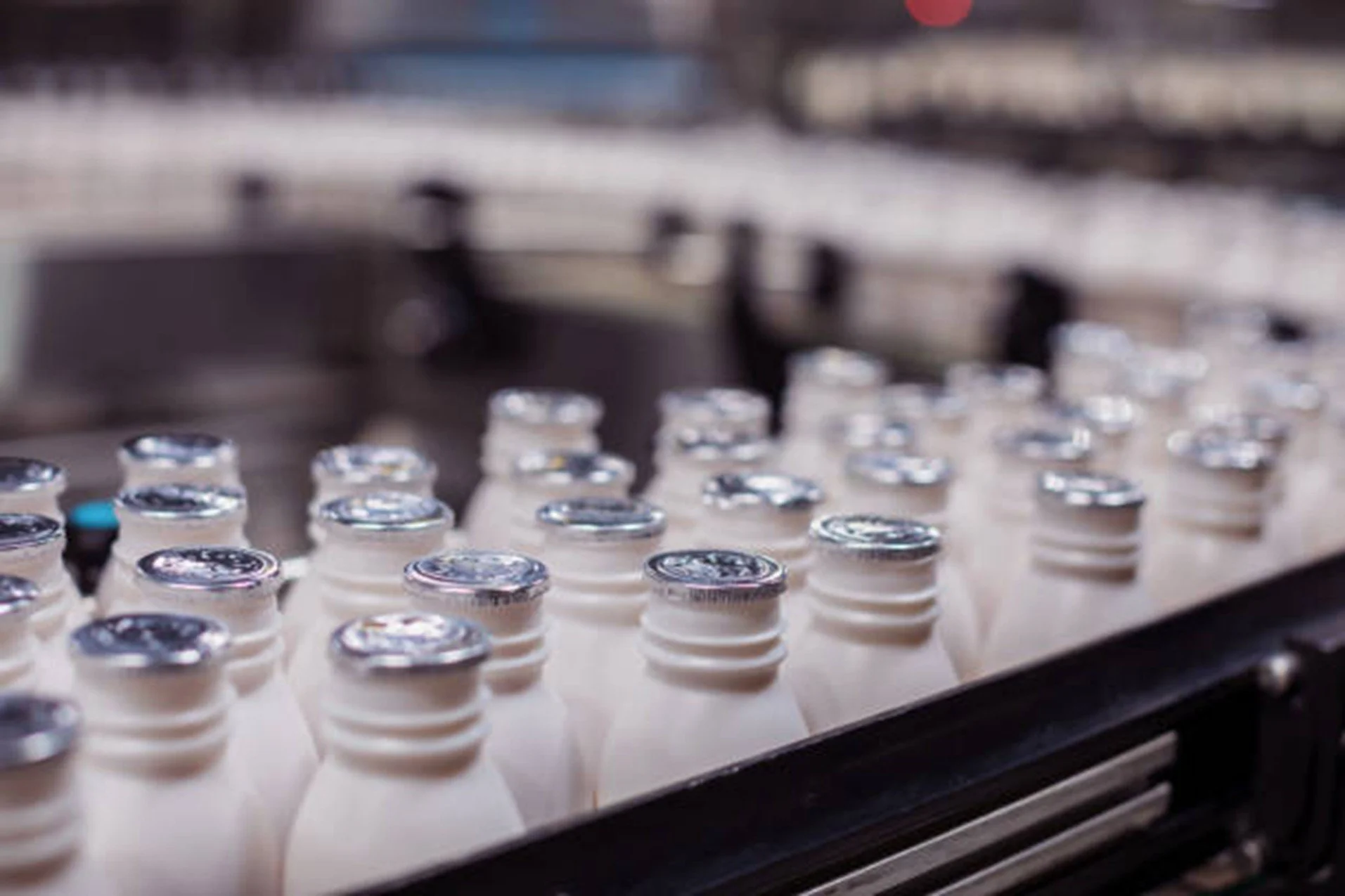 DAIry Twin: l’AI che porta efficienza nella filiera lattiero-casearia