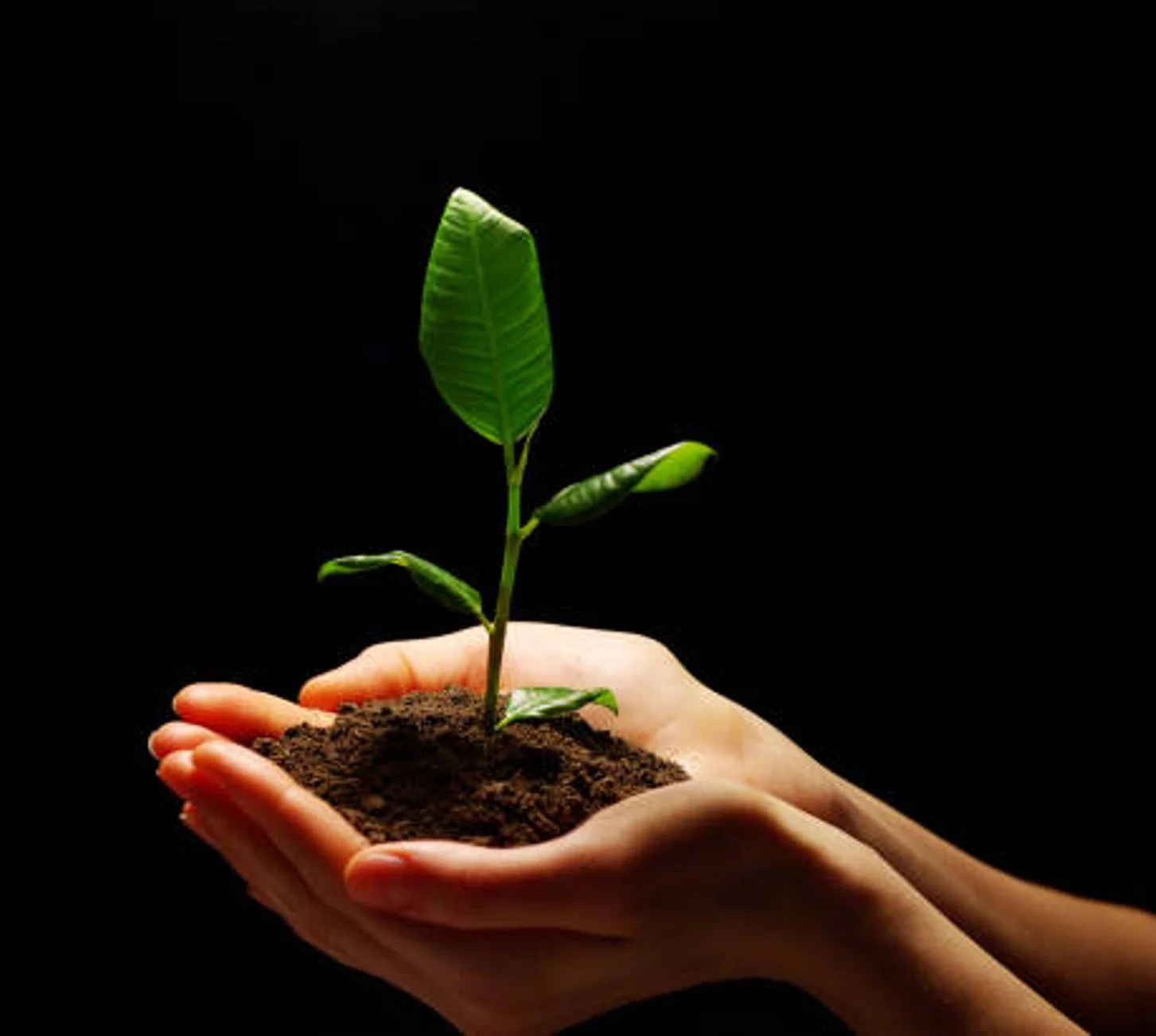 FUTURE FARMING INITIATIVE - l'infrastruttura per il nuovo Made in Italy